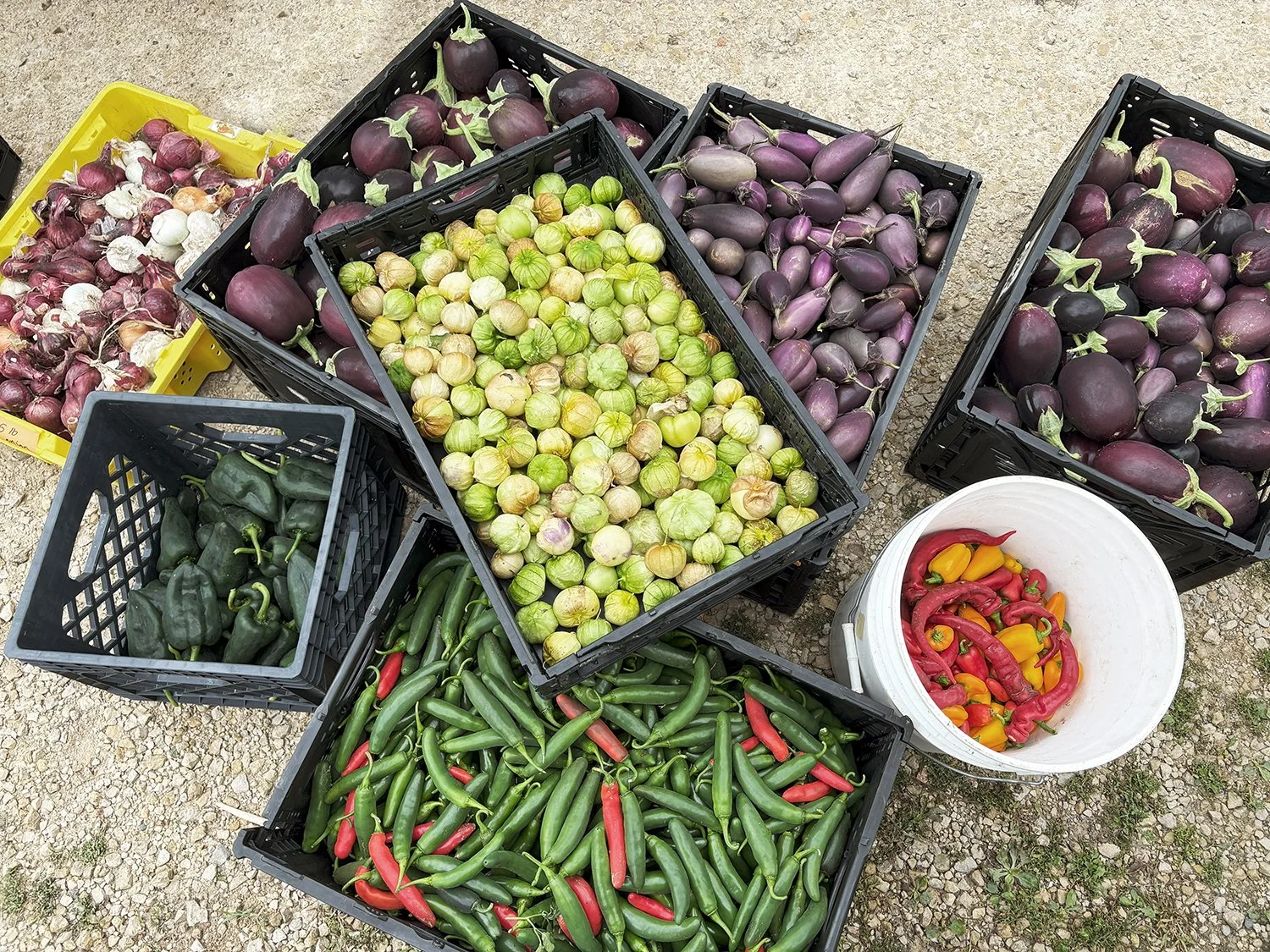 OpenSeat Pick up.jpg