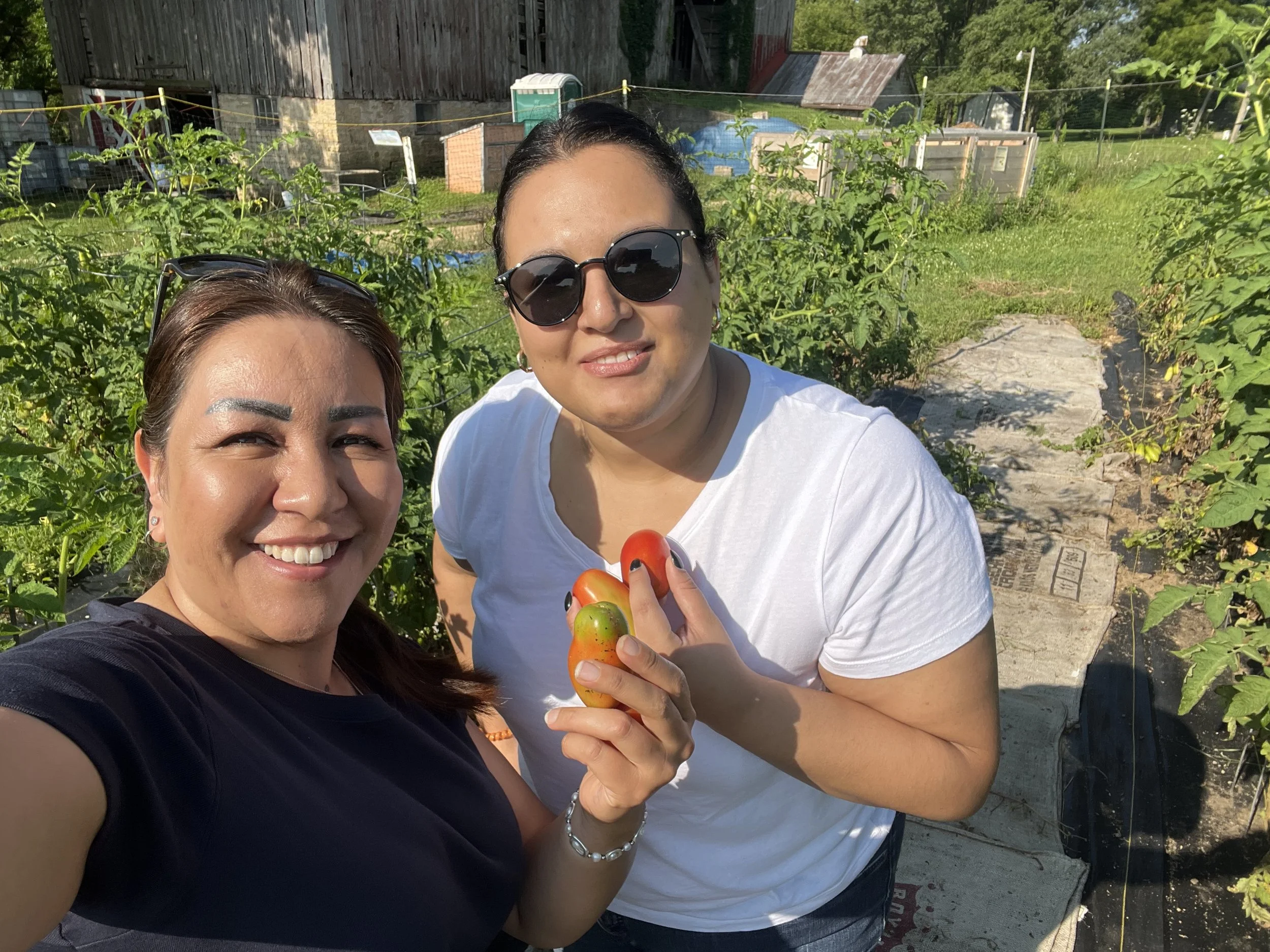 8.15.25 Staff garden day 4.jpeg