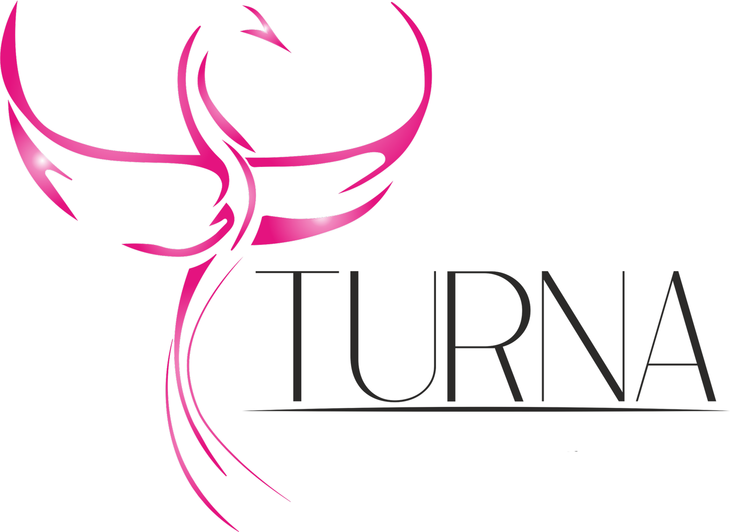 TURNA