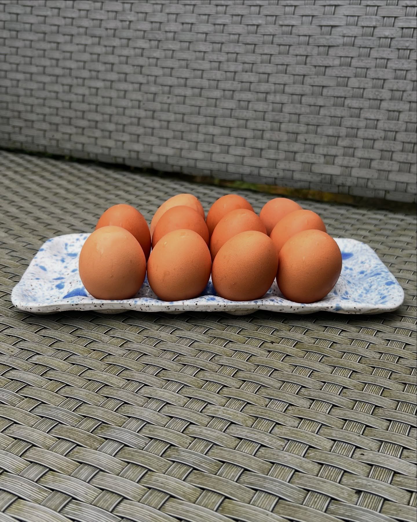 new blue speckled 18 egg holder! I have two of these and they will be available on my website 🥚 🪺 🥚
#speckledceramics #eggholder #portland #portlandceramics #portlandsmallbusiness #portlandartist #ceramics #pottery #eggs