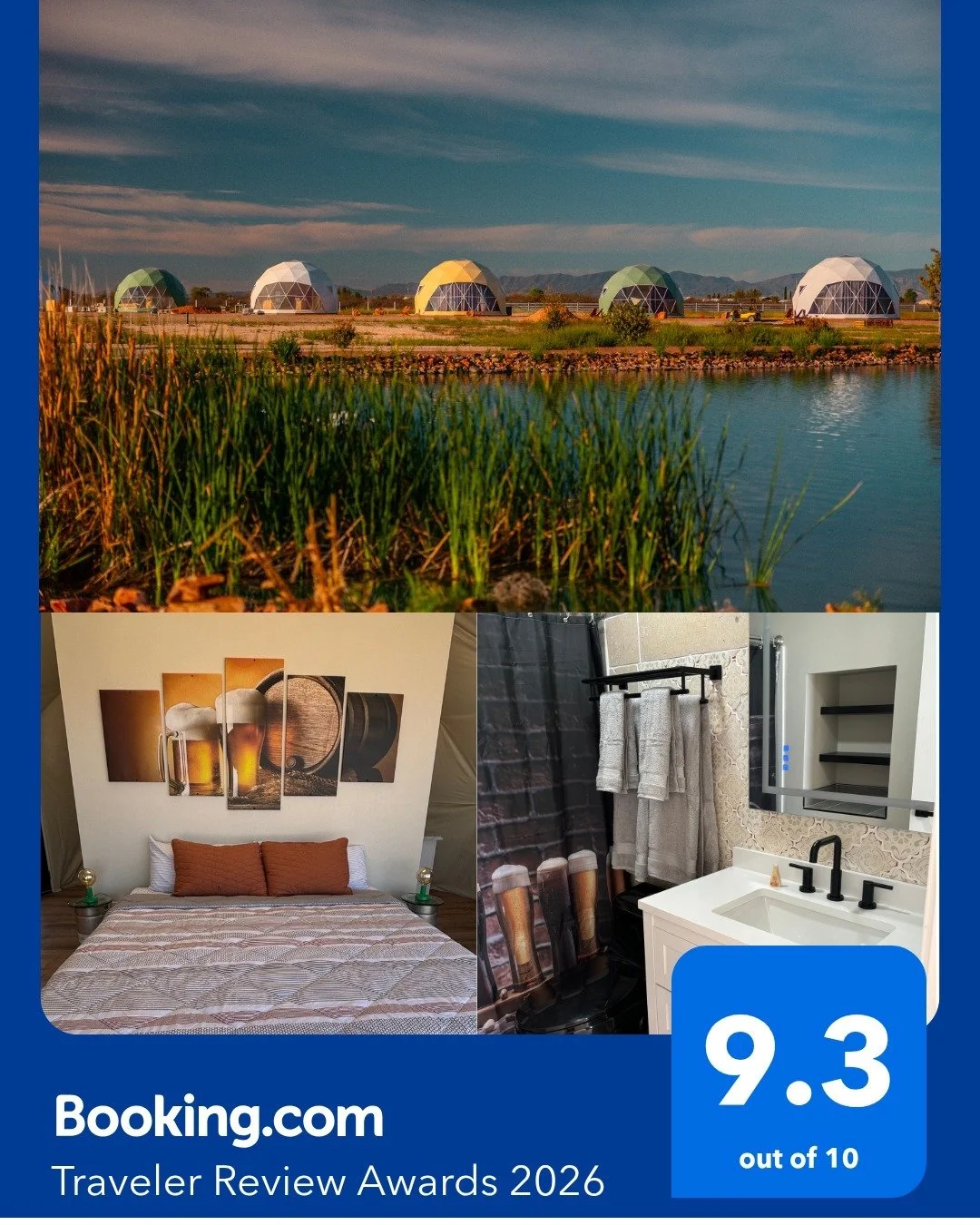 We&rsquo;re honored to share that The Beer Dome has been awarded a Booking.com Traveler Review Award 2026 with a 9.3/10 rating.

Huge thanks to everyone who stayed with us, shared a drink, and took the time to leave a review. We couldn&rsquo;t do thi
