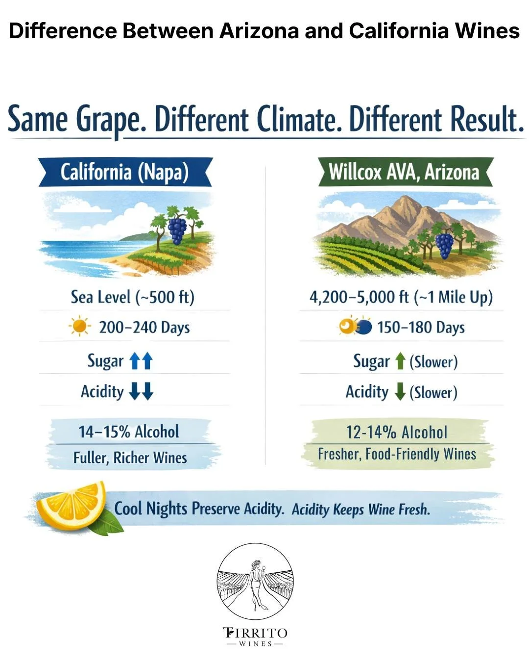 Same grape. Different climate. Different result.

Most wines people are familiar with come from California, often places like Napa, where vineyards sit near sea level and the growing season is long. Grapes hang longer, sugar builds faster, acidity dr