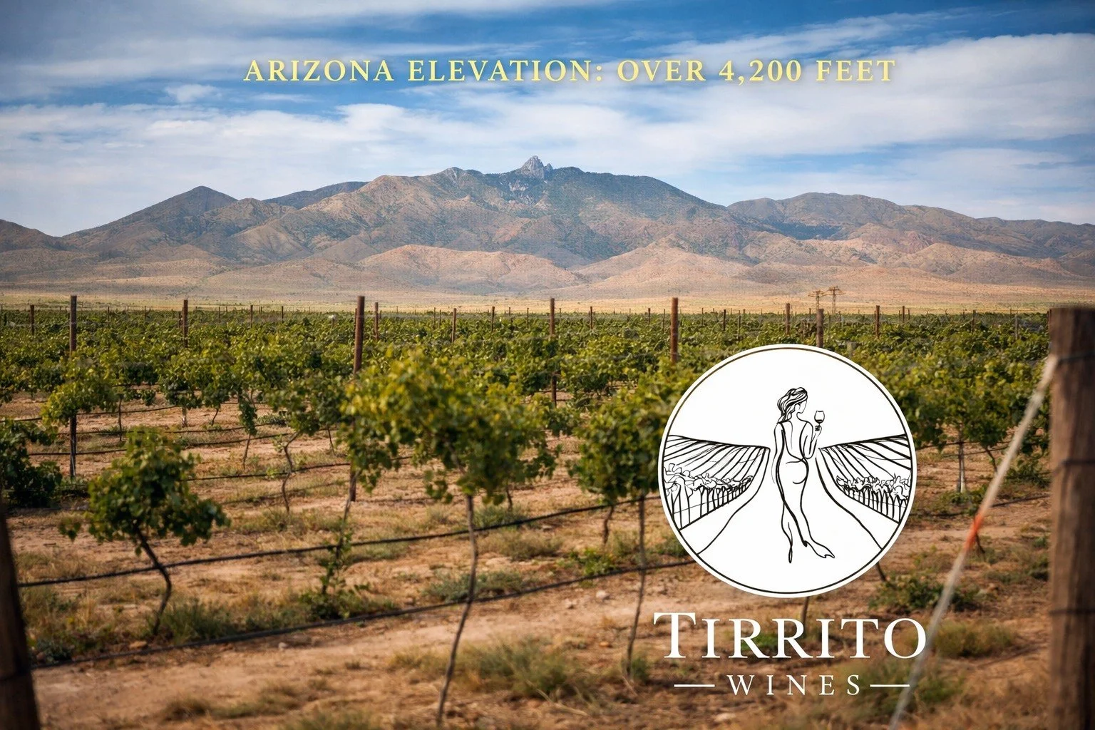 🌾 Teach Me Tuesday

Why does elevation matter in Arizona wine?

Willcox sits at over 4,200 feet above sea level.

That changes everything.

☀️ Warm desert days ripen the fruit fully
🌙 Cool high-desert nights preserve acidity
🌬 Dry air reduces dise