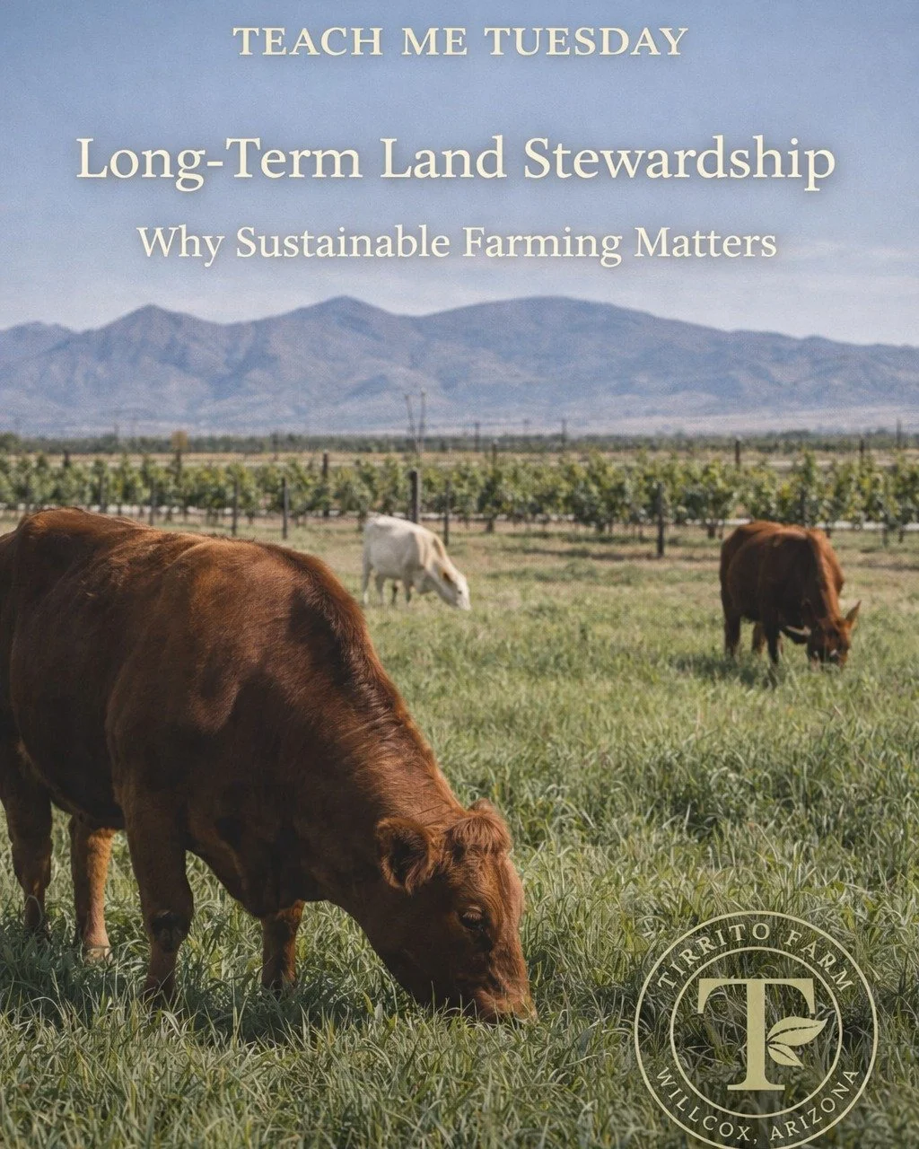 🌱 Teach Me Tuesday

On World Health Day, it&rsquo;s a good reminder that healthy systems matter &mdash; not just for people, but for the land that feeds us.

longtermlandWhat Does Land Stewardship Really Mean?

Sustainability isn&rsquo;t a tagline h