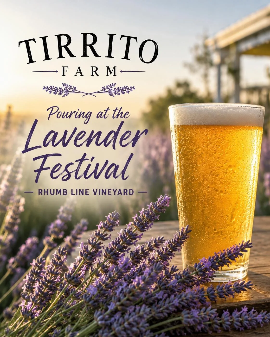 🪻🍺 Find Us at the Lavender Festival This Saturday! 🍺🪻

We&rsquo;re excited to be pouring Tirrito Farm craft beer at the Lavender Festival at Rhumb Line Vineyard this Saturday.

If you&rsquo;re planning to attend, stop by our booth, say hello, and
