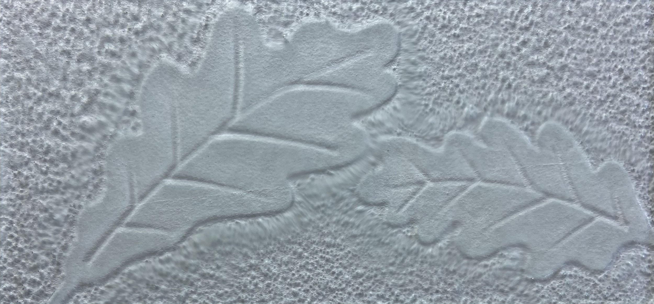 Oak Leaf Light Green.jpeg