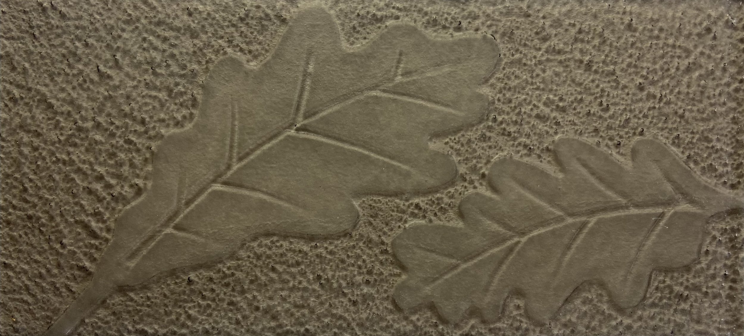 Oak Leaf Bronze.jpeg