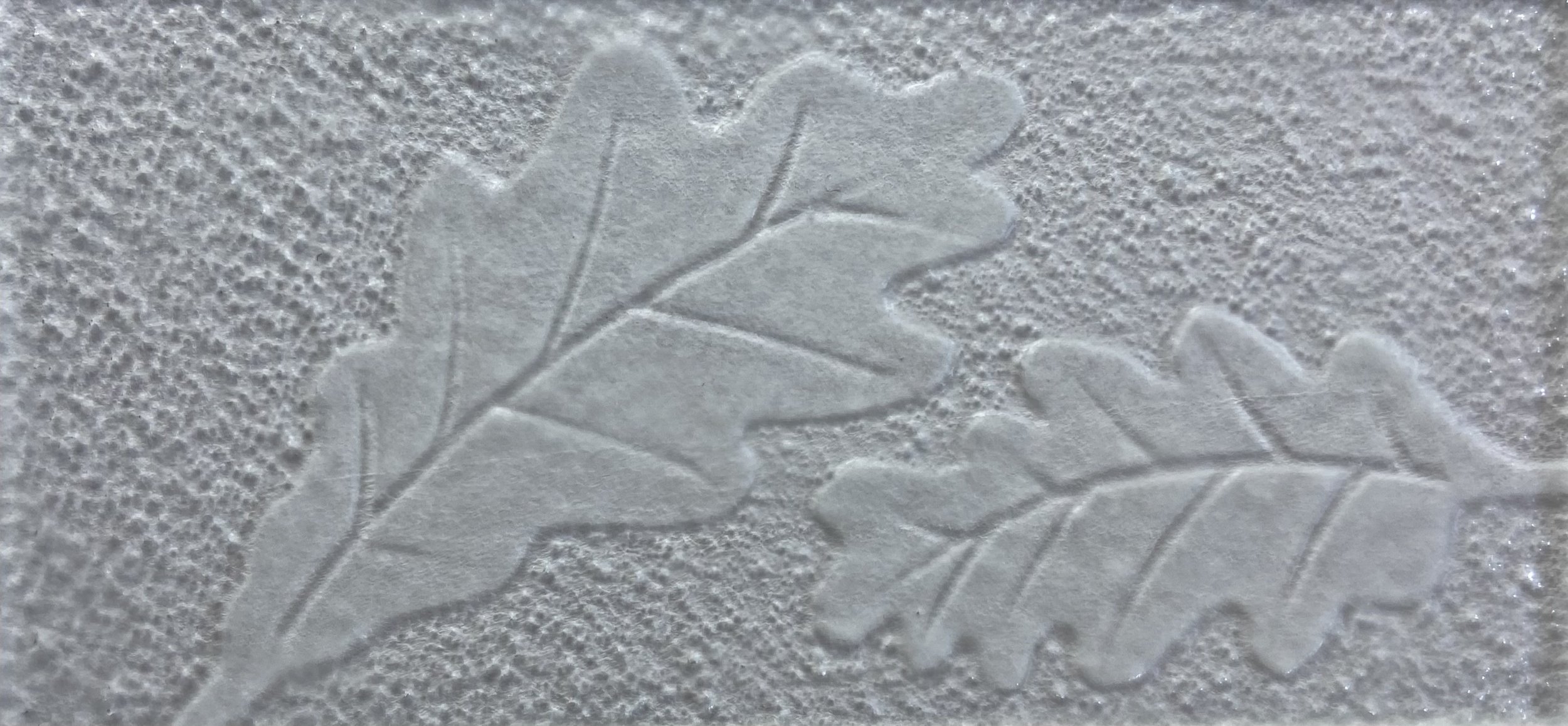 Oak Leaf Clear.jpeg