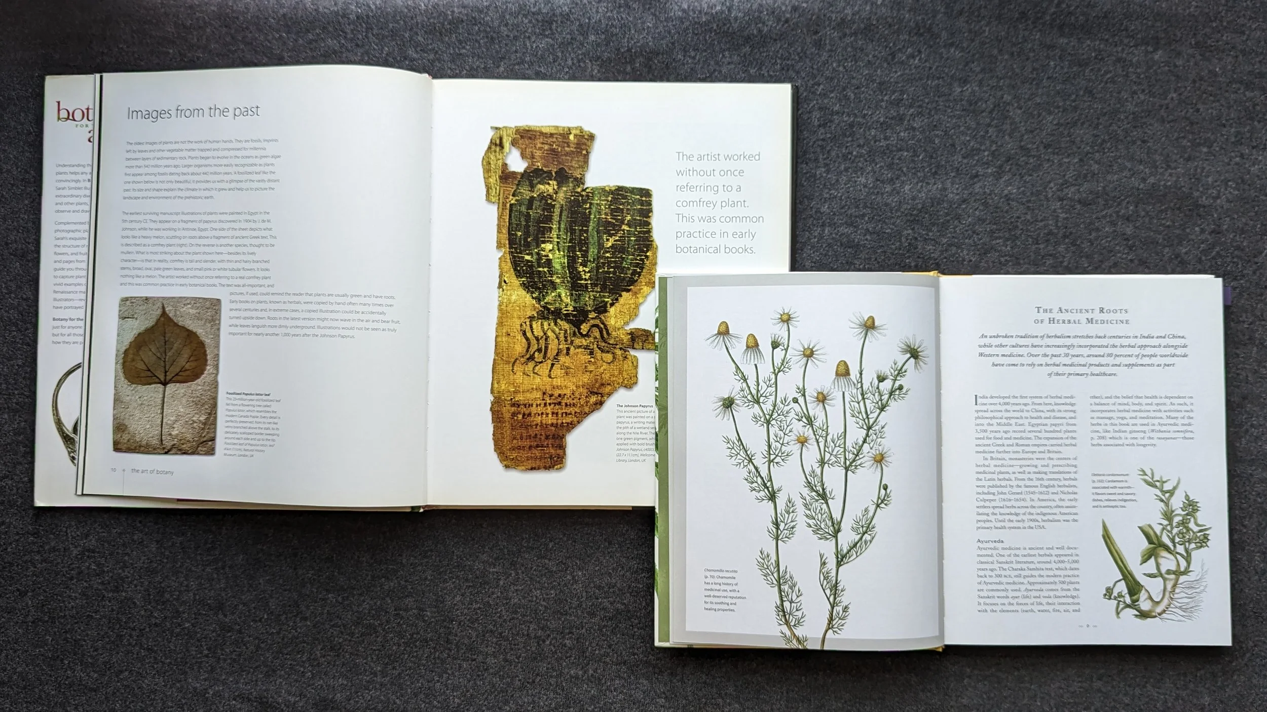 Both books started with history and tradition