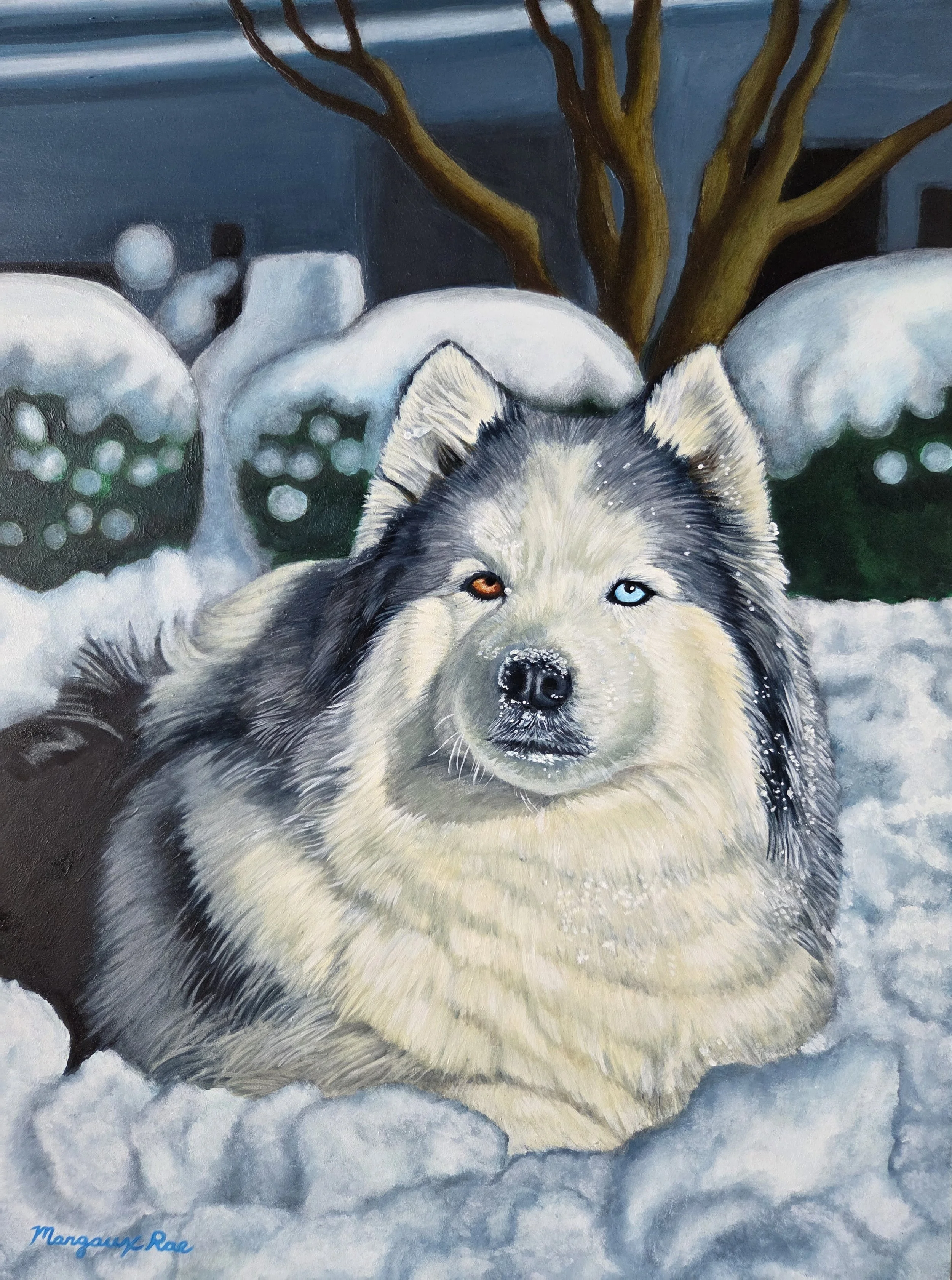 Snowy Kodiak