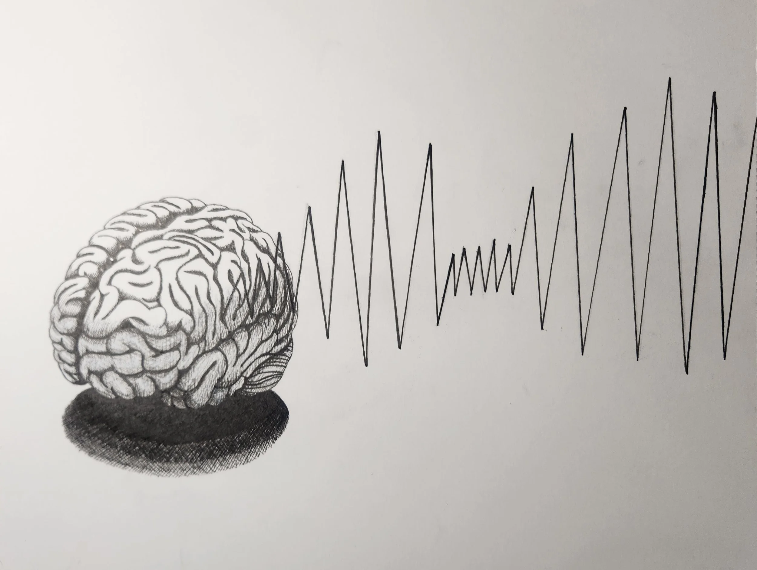 The Brain, Signs of Seizures