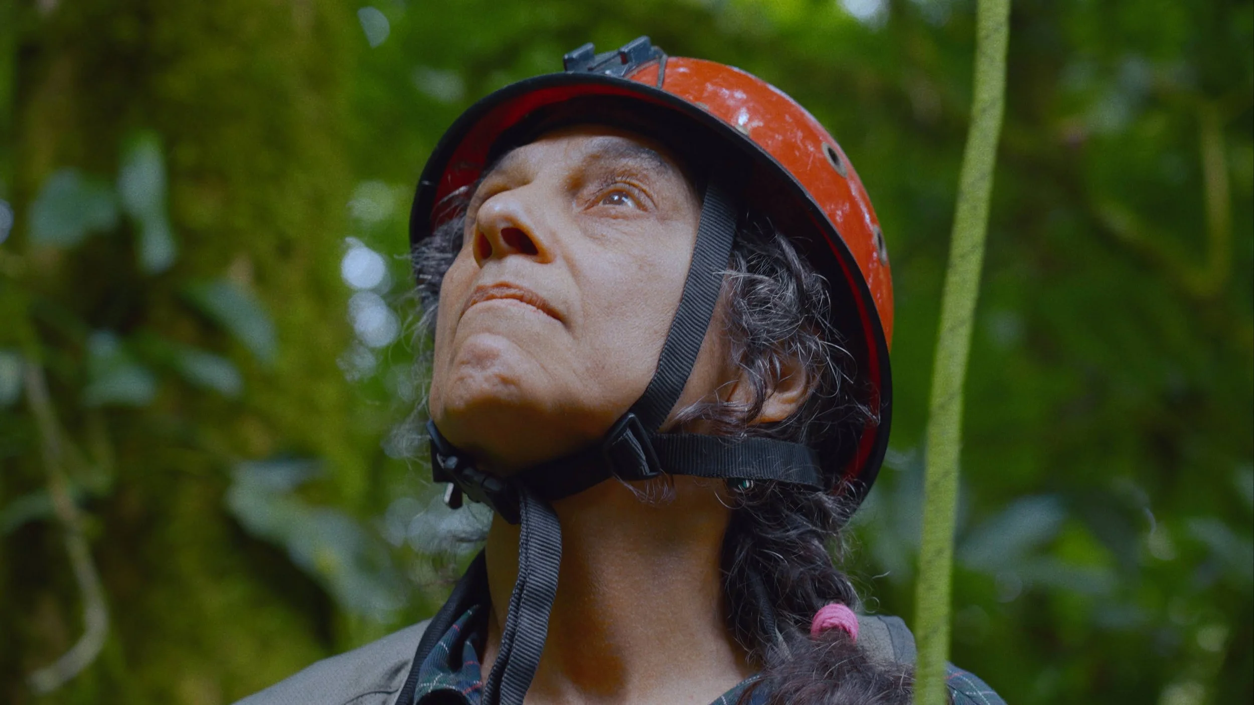 Between_Earth_Sky_-_Still_Nalini_Looking_Up_Andrew_Nadkarni.jpg