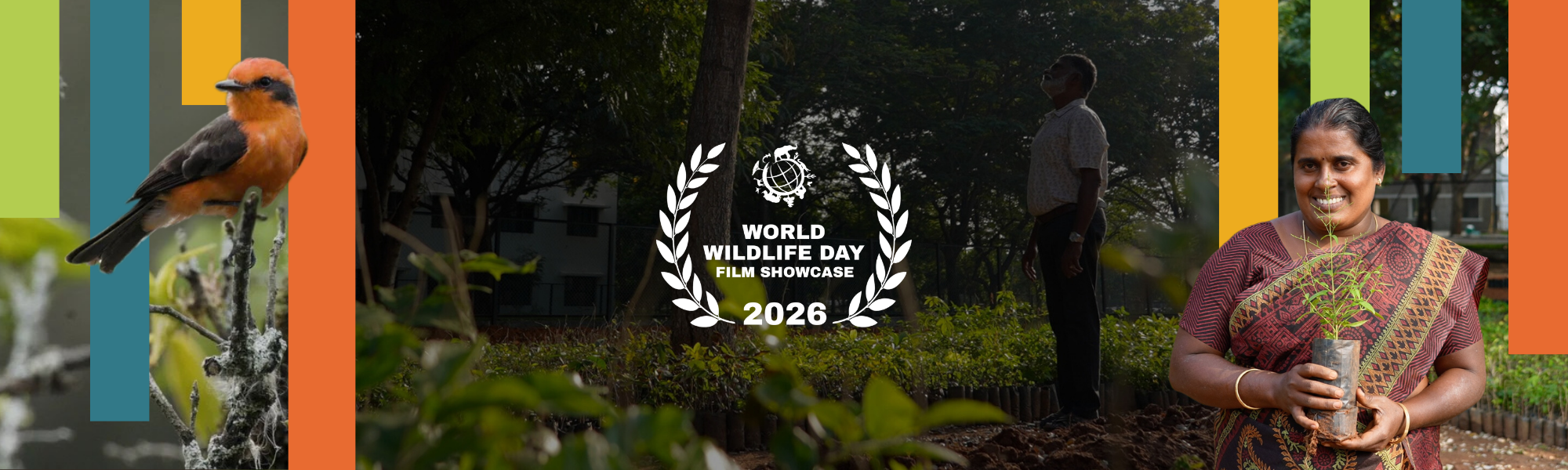 Jackson Wild Announces Official Selections for 2026 World Wildlife Day Film Showcase