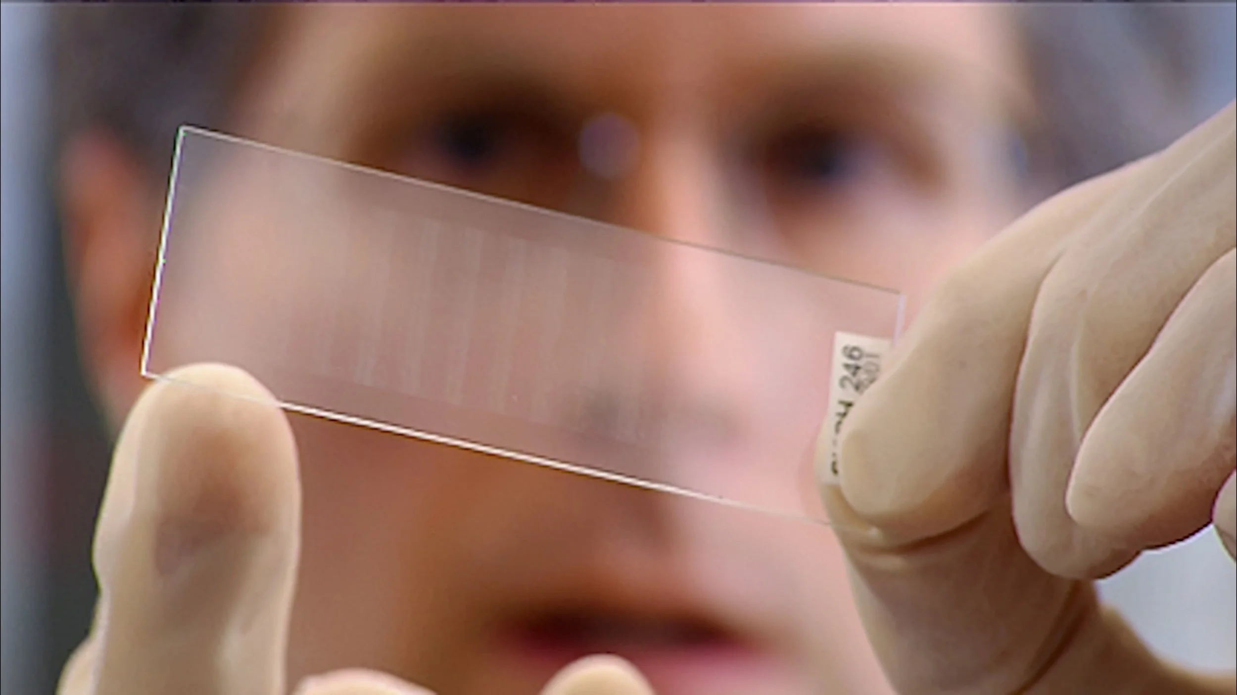 Wild Hope Mission Impossible.jpg