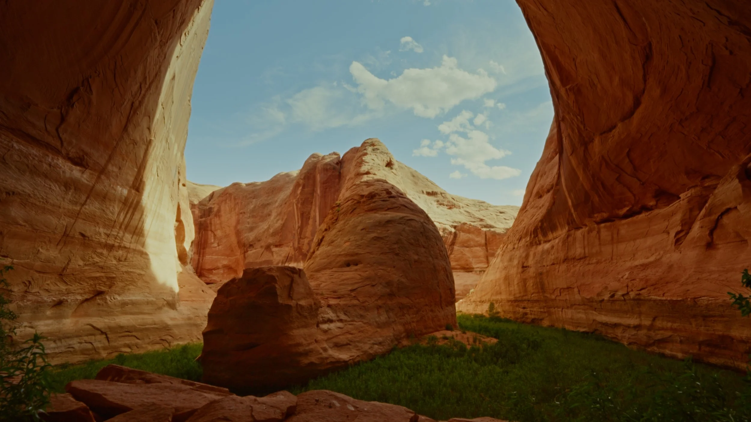 What the River Knows.jpg