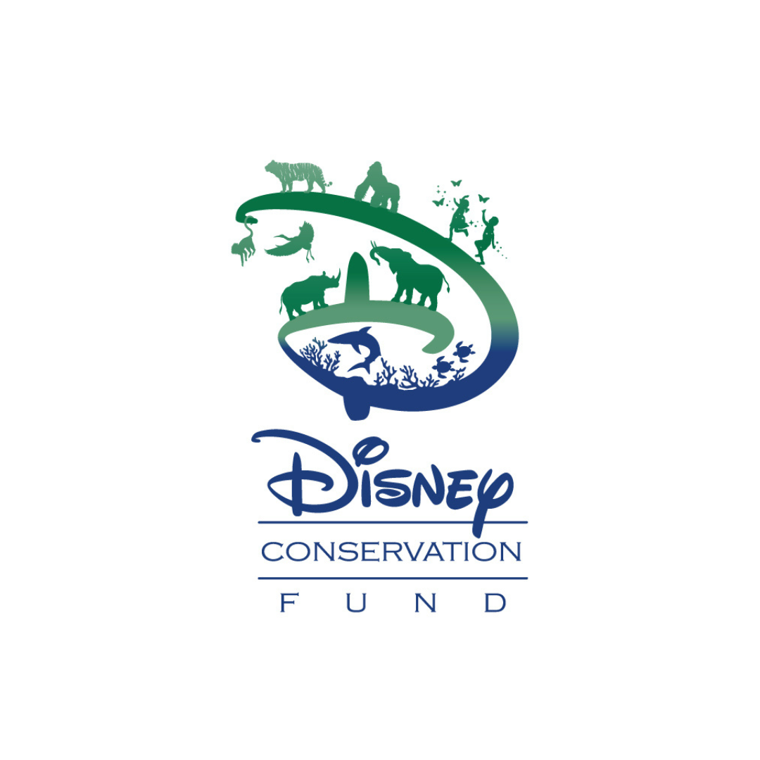 Disney Conservation Square.png