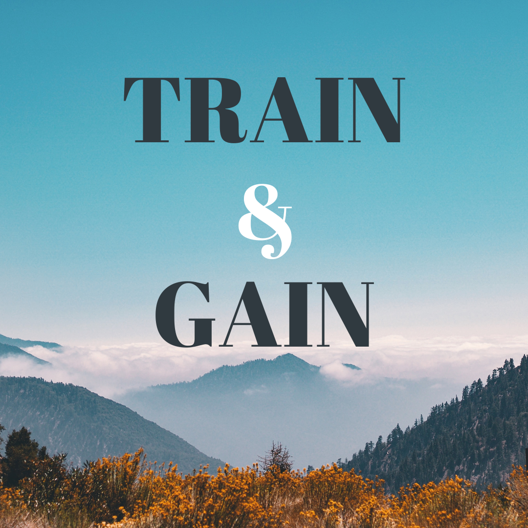 January Train & Gain 2026 "Blurred Lines: Therapy vs Coaching and the Legal & Ethical Risks "