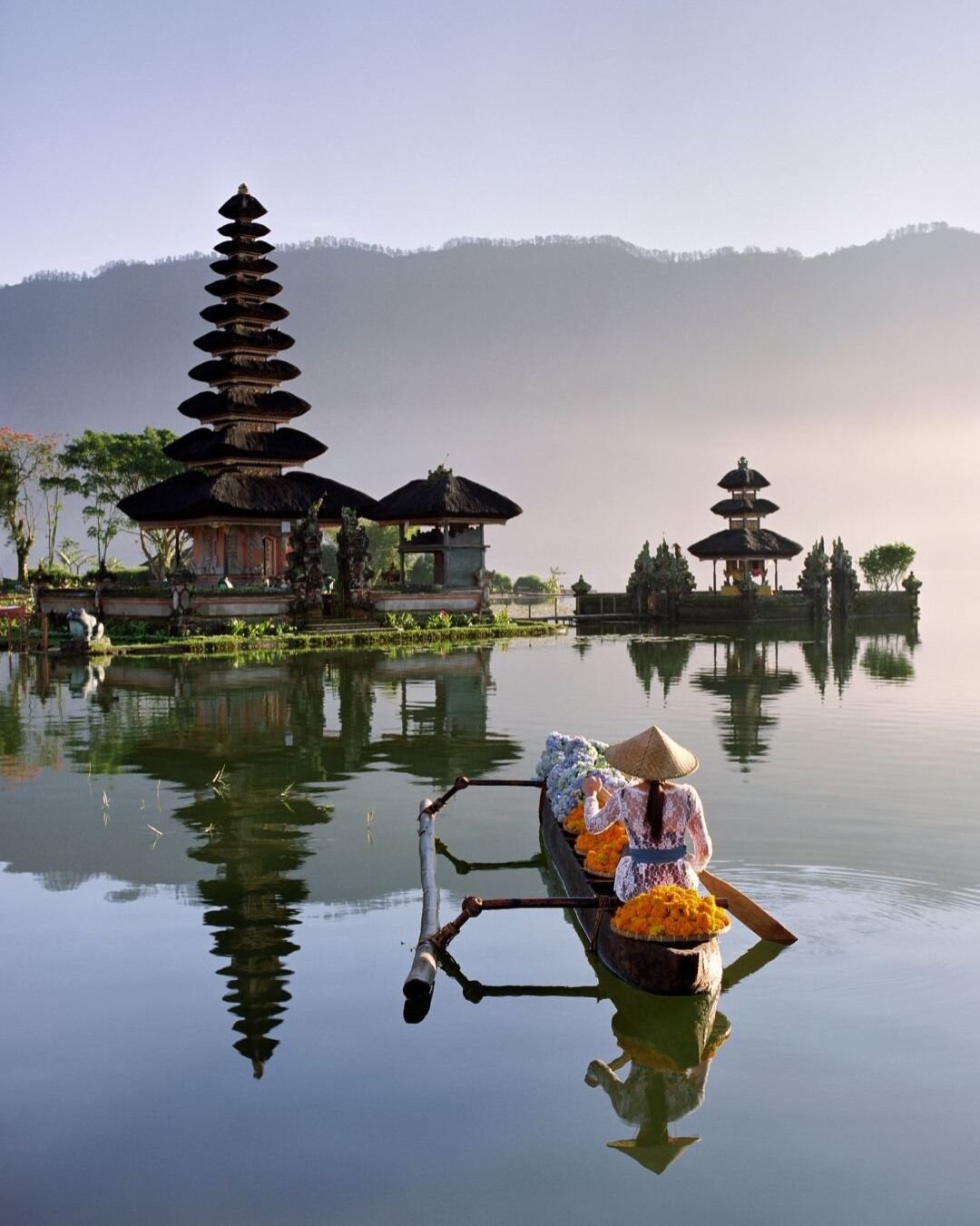 Let's take a 15-Day Indonesian Holiday 🌳 🌊 ! Sail through Singapore and Indonesia, and only unpack once! Cruise with Holland America Line and get up to 40% off your sailing when booking with me. 🛳️ ☀️ #TravelBetter #HollandAmericaLine #Bali #Indon