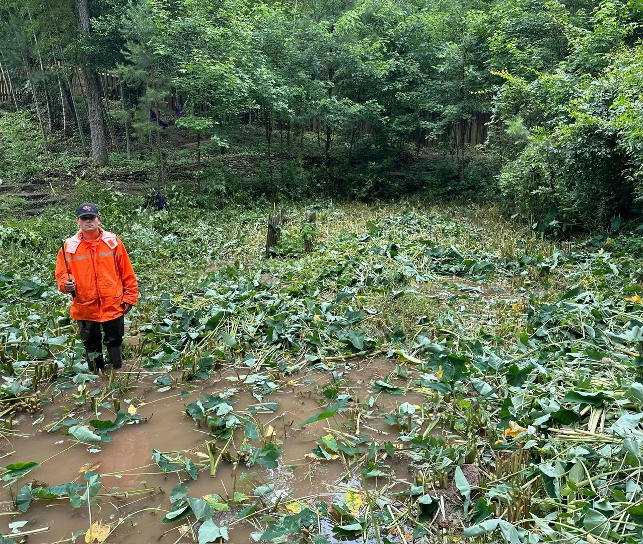 Some jobs have a jungle book story attached to them. We love seeing progress updates from our foremen and their crews.