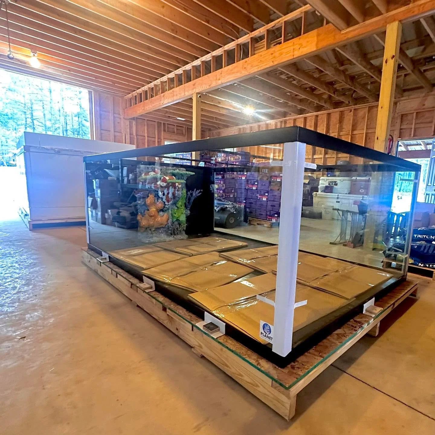 This aquarium is kind of a BIG deal!