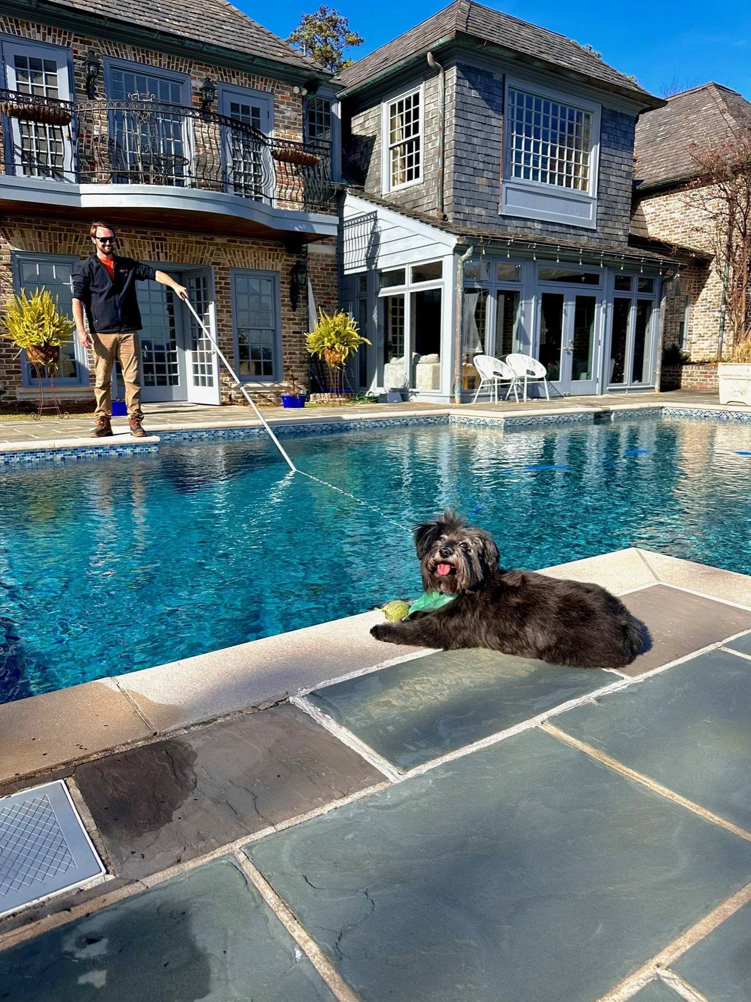 A man standing at the edge of a backyard swimming pool, playing with a small black dog lying on the poolside tiles. The man is using a pool skimmer stick, and the dog, happy with its tongue out, is looking towards the camera. The house in the background has large windows, a balcony, and outdoor furniture, under a bright blue sky.