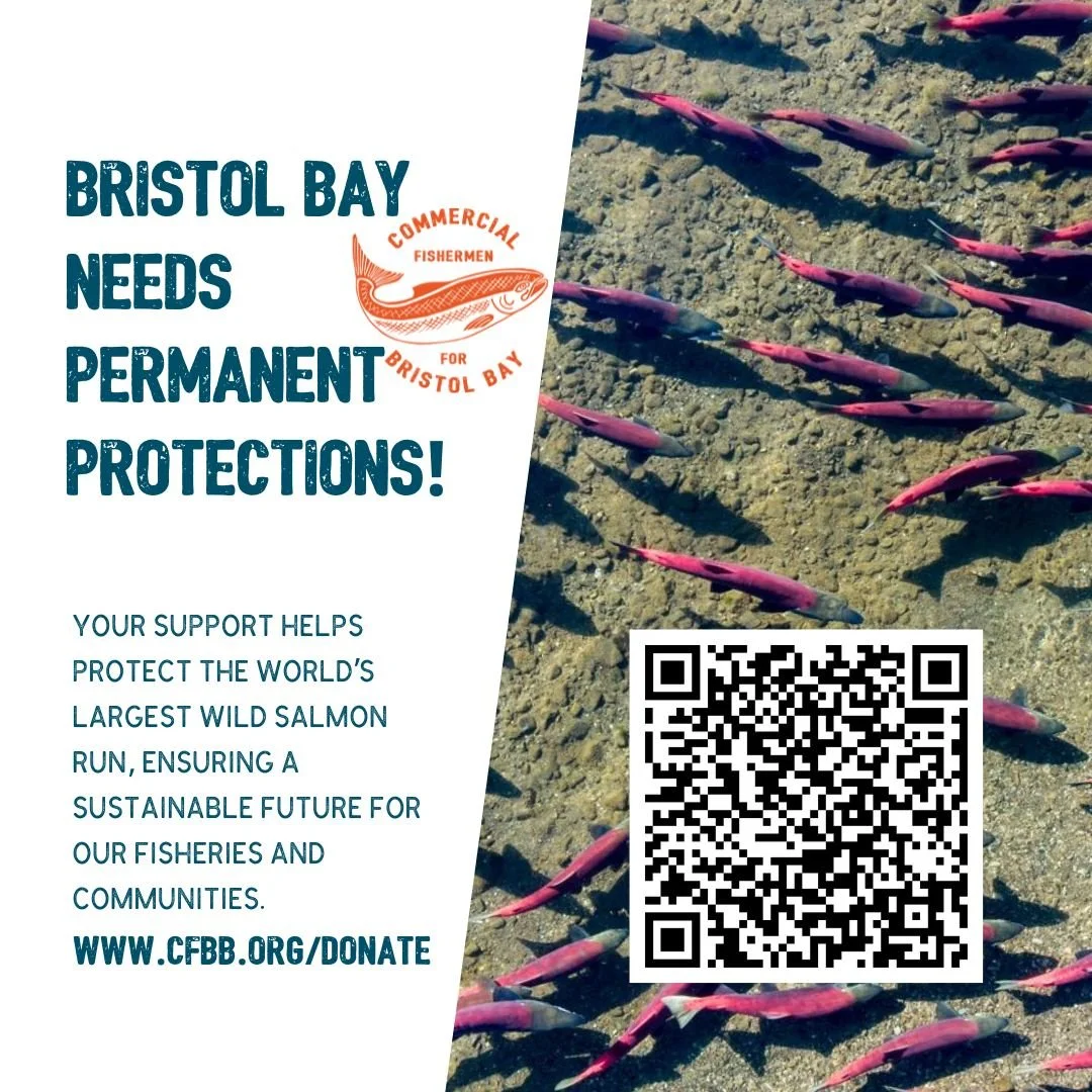 Bristol Bay&rsquo;s future depends on the choices we make today.
Help us protect the world&rsquo;s largest wild salmon run &mdash; and the communities who depend on it.

🎣 Every dollar helps keep fishermen at the table and our fishery strong.
👉 Hea