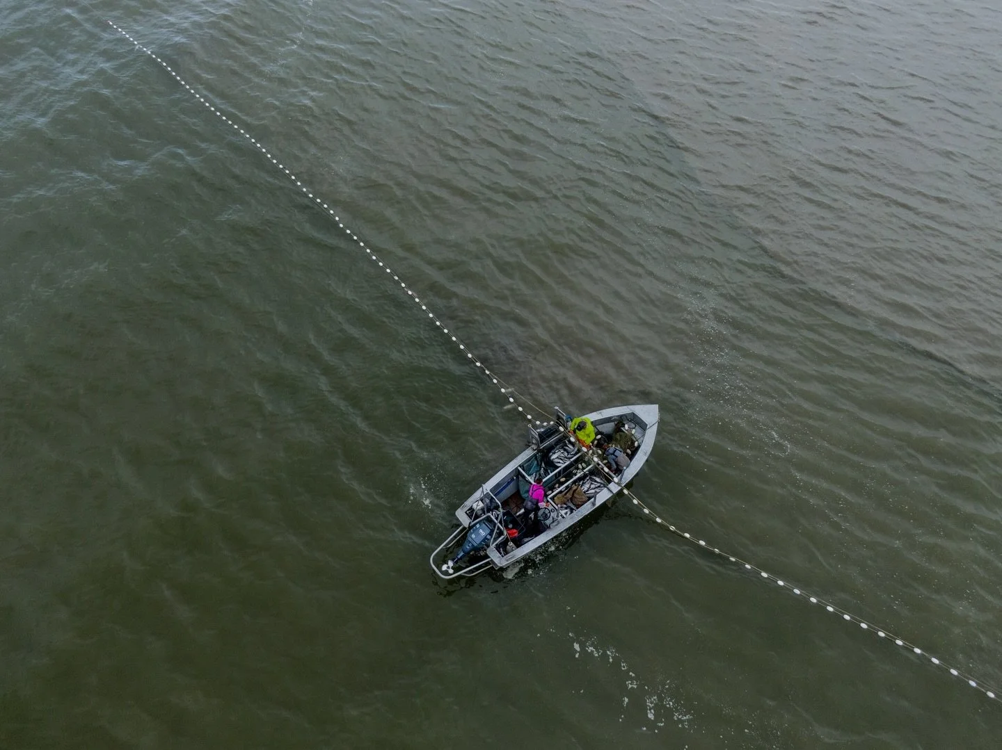 Thankful for clean waters, wild salmon, and the communities who protect Bristol Bay every day. 
Grateful for this place, this fishery, and the people who keep its future bright. 💙🐟✨
#ProtectBristolBay #CleanWaterMatters #WildSalmonForever #SaveOurW