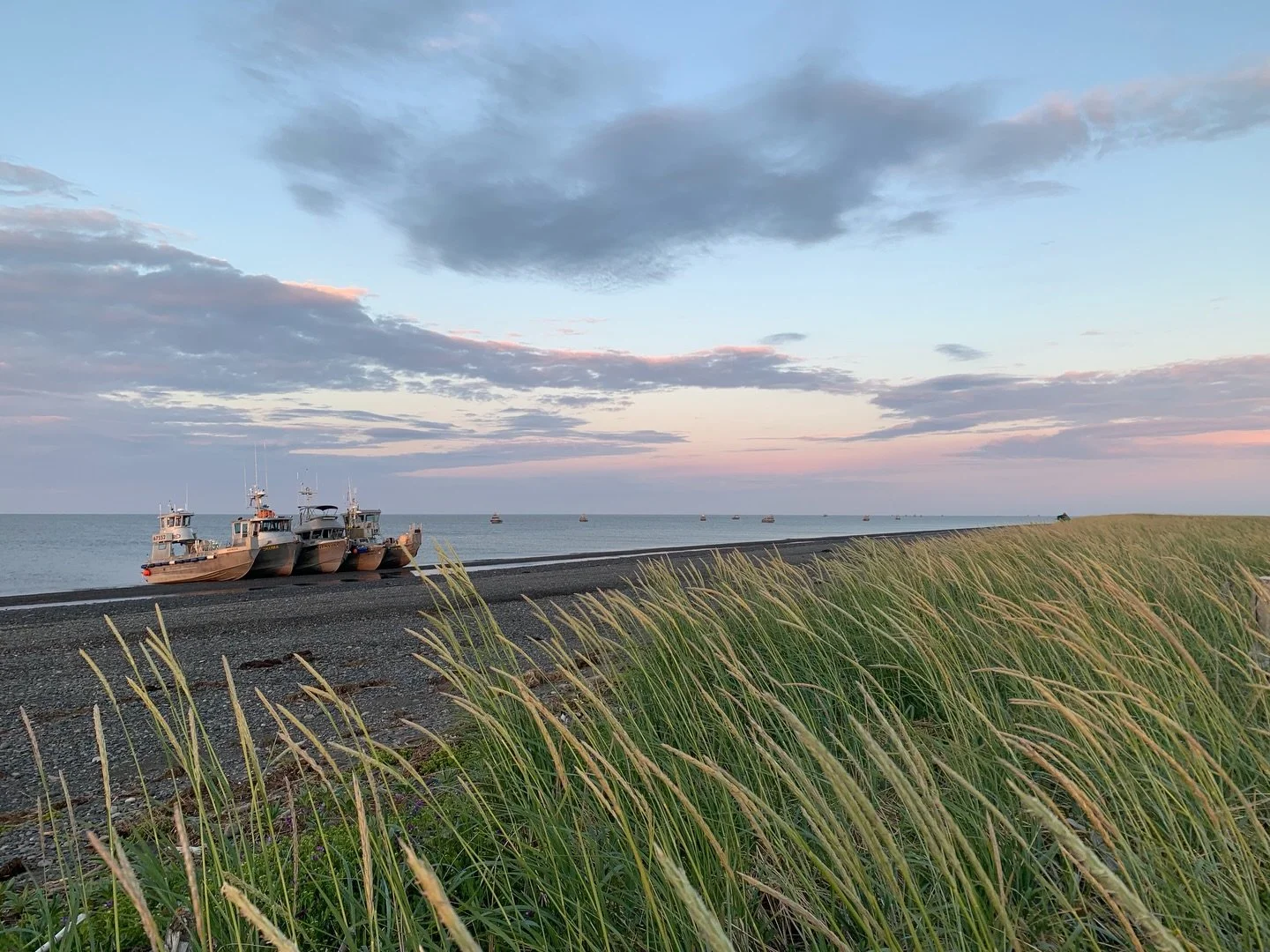 Missing the Bay a little extra today. 
Nothing compares to the water, the salmon, and the community that brings us all together. 💙
#MissingTheBay #BristolBayForever #CFBB #CommercialFishing