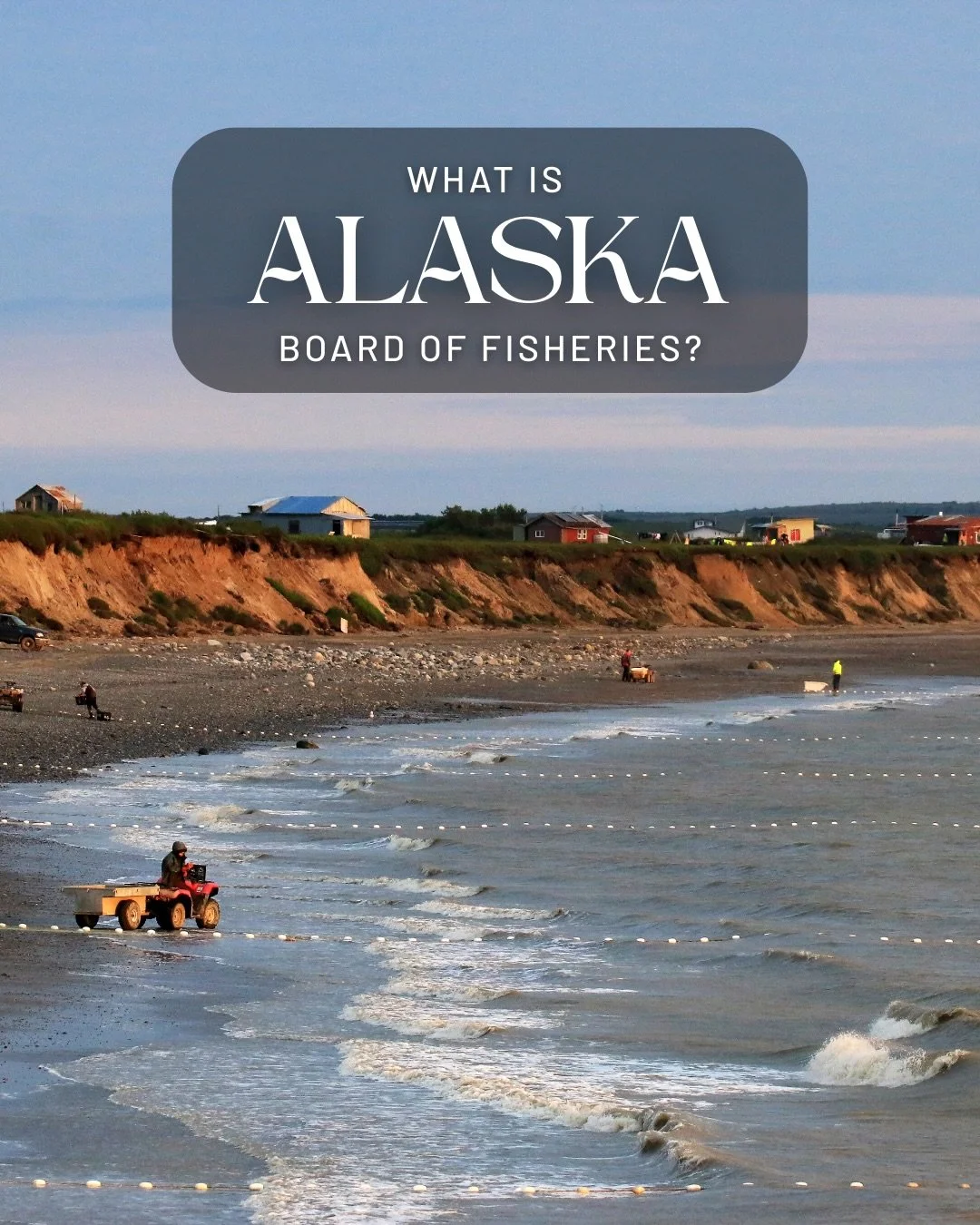 The Bristol Bay Finfish Board of Fisheries meeting is in January, and the full list of proposals is now available online.
You can review proposals, read supporting documents, and submit written comments directly through the BoF website. 
Comment dead