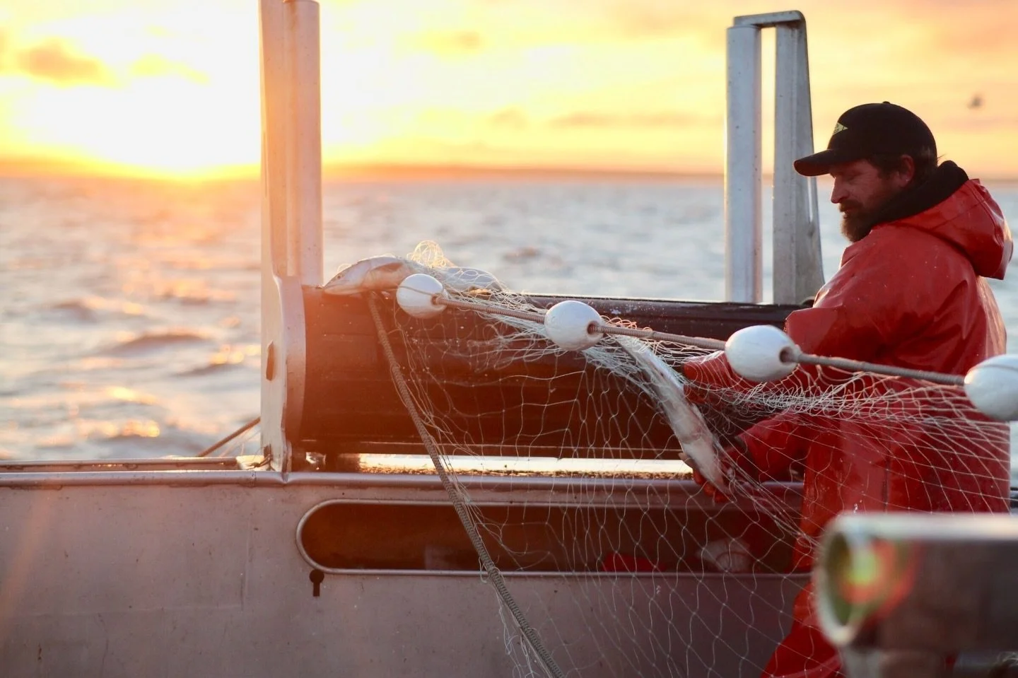 There is nothing like those long Bristol Bay evenings, hauling gear as the sun drops and the water glows. Moments like this stay with you all winter.🧡
#MissingTheBay #BristolBayFishing #OnTheWater #cfbb #nopebblemine