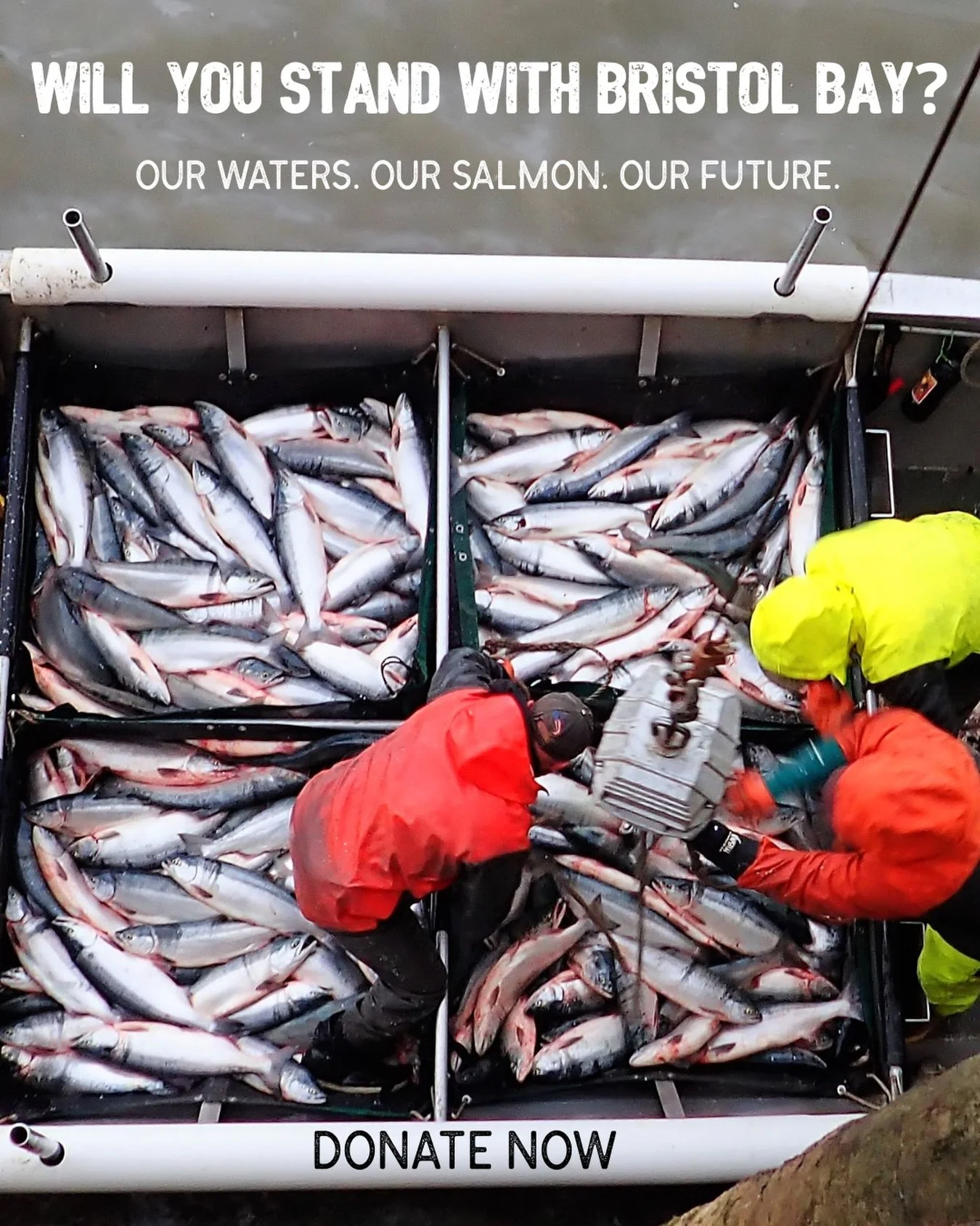 Bristol Bay&rsquo;s strength comes from healthy rivers, wild salmon, and the people who depend on them. 
Protecting this place today helps keep fisheries and communities strong for generations. 
Donate through the link in our bio. 🐟🌊🌊
#BristolBayF