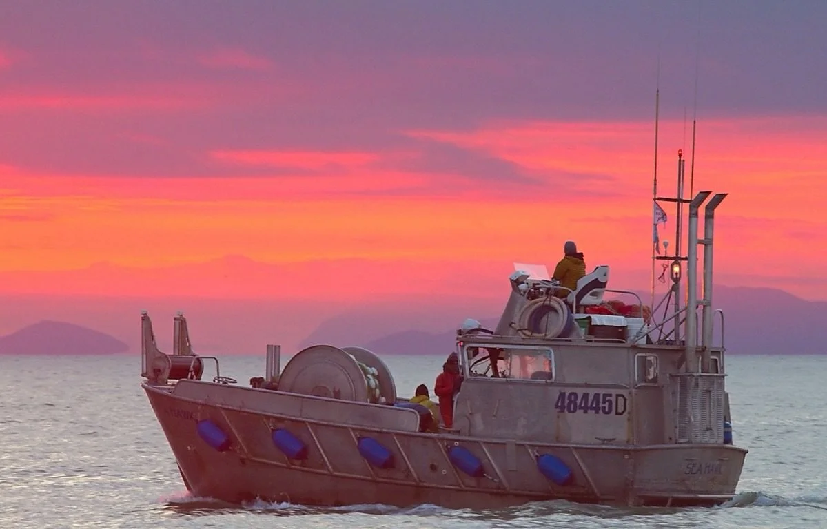 You know the saying, red sky at night, sailor&rsquo;s delight. Red sky in the morning, sailor take warning.
Missing those cold, quiet nights on the bay and the promise of another strong salmon season.💜🩷
#BristolBayForever #CFBB #ProtectBristolBay #