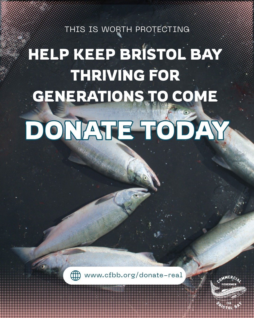 This is more than a place, it&rsquo;s a way of life. 🐟⚓🌊

From the water to the communities it supports, Bristol Bay depends on people who care enough to protect it.

Join us. Donate today. 

Link in bio.

#BristolBay #CFBB #ProtectBristolBay #Wild