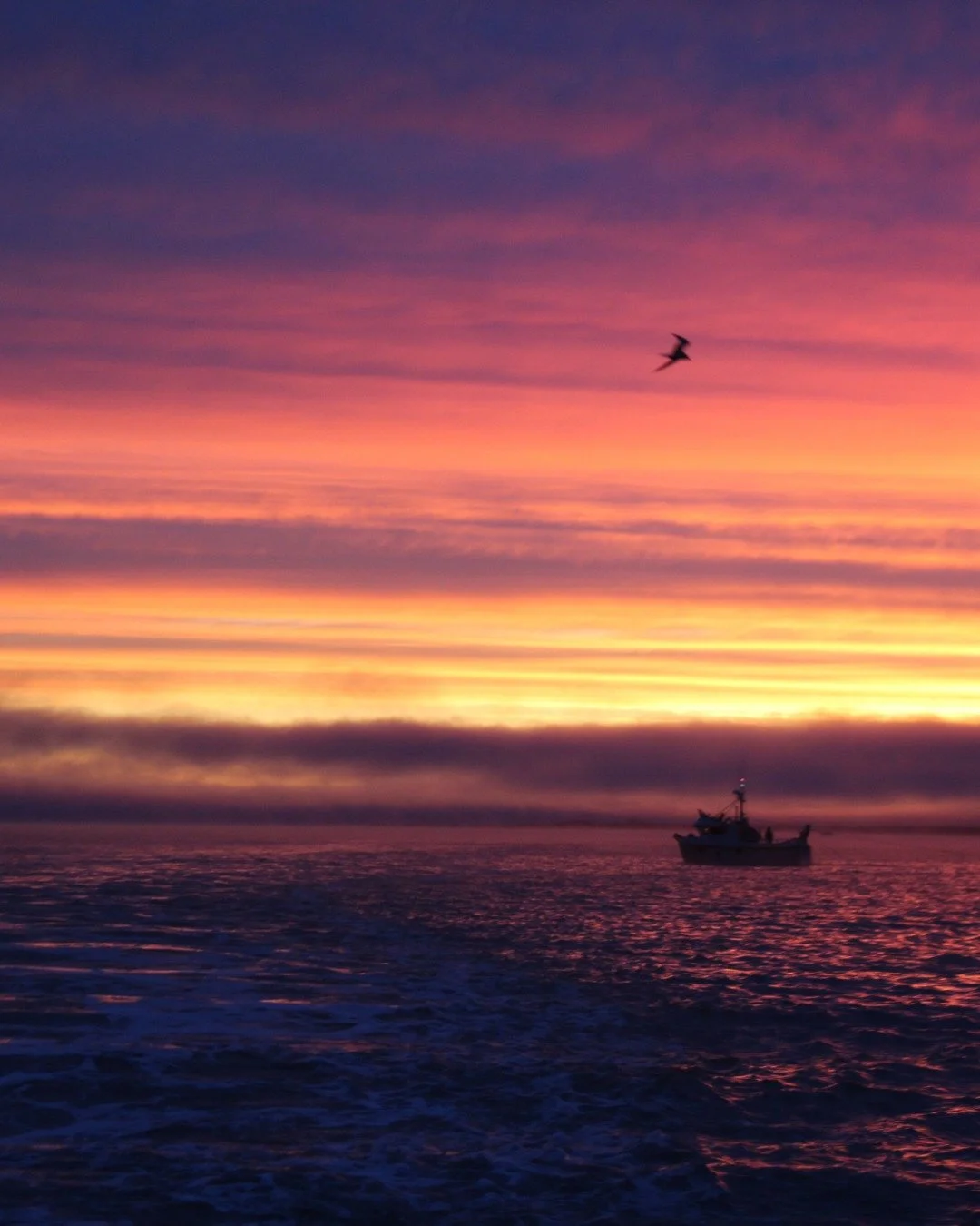 Grateful for Bristol Bay! 💙

Home to the world&rsquo;s largest wild sockeye salmon run and one of the last places where ecosystems, cultures, and communities remain deeply connected. 🐟

A place like this is worth protecting.🌎

#nopebblemine #cfbb 