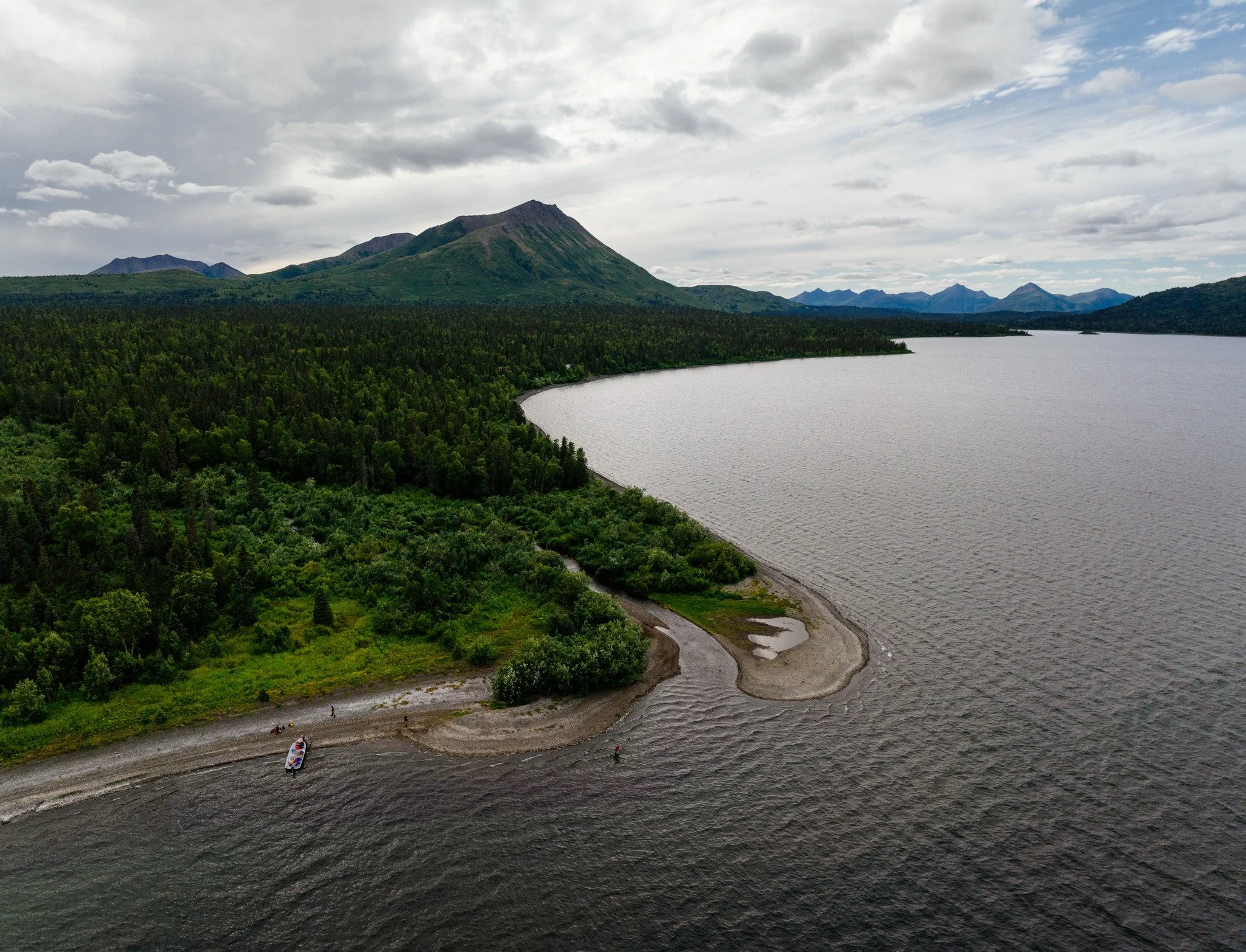 Clean water isn&rsquo;t a luxury for wild salmon, it&rsquo;s the baseline that needs to be maintained. A robust watershed means strong salmon runs, healthy ecosystems, and communities that can rely on both. It&rsquo;s all connected&mdash;from the hea