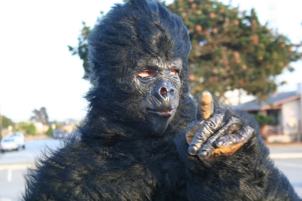 Brandon J. Snyder trying on the gorilla suit