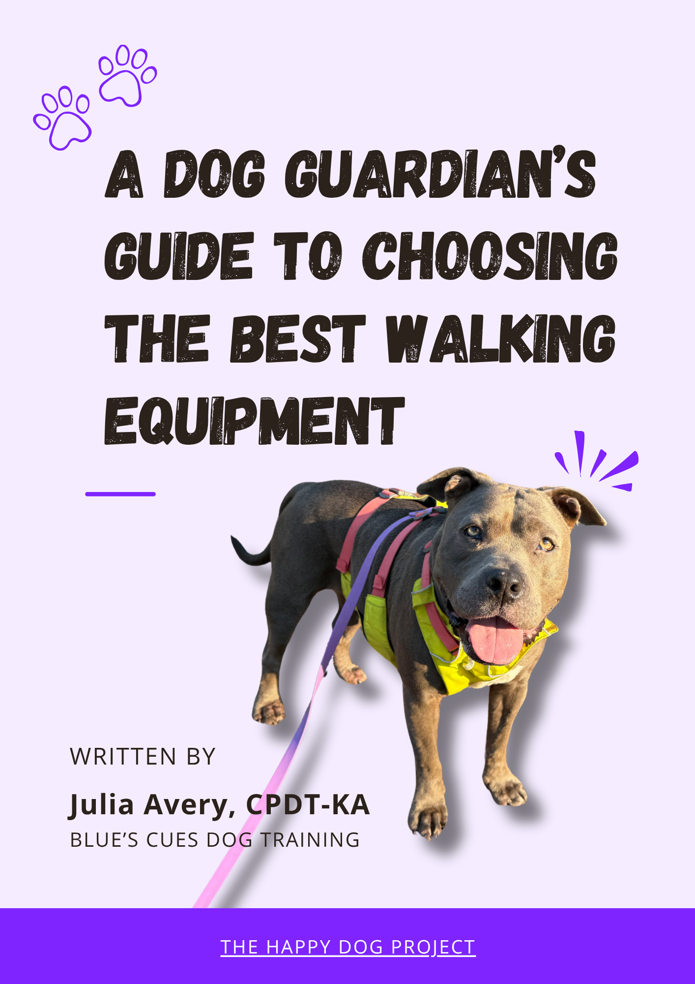 A Dog Guardian's Guide to Choosing the Best Walking Equipment