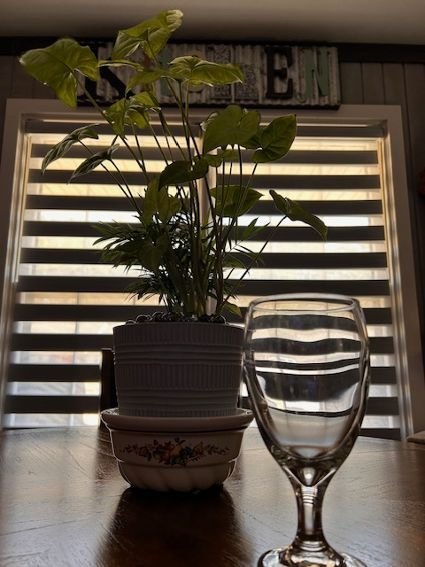 STEM GLASSWARE
