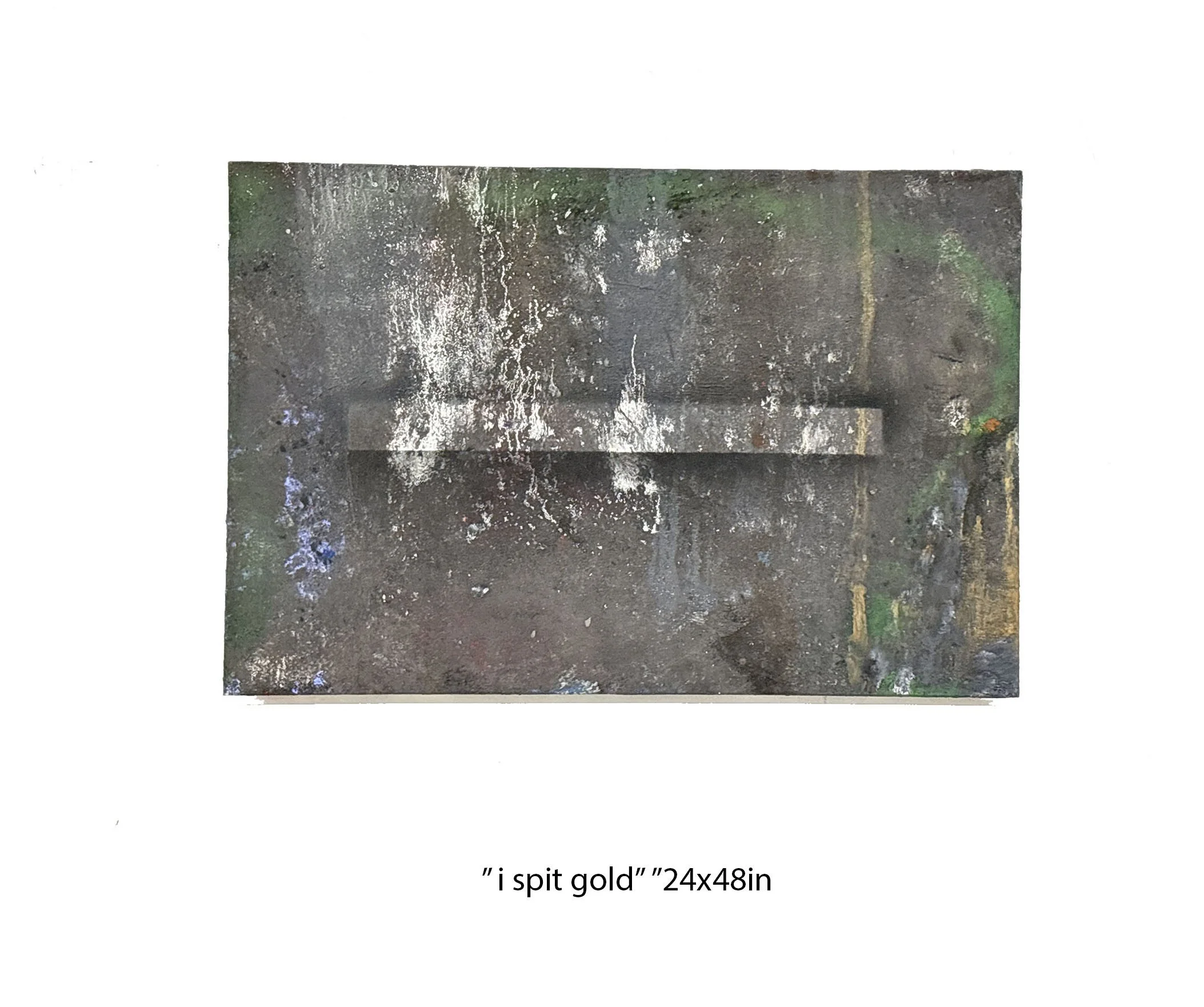 Cole Boyd   
   I Spit Gold  (Oil and acrylic and spray paint) 
  24 x 48 
   $500