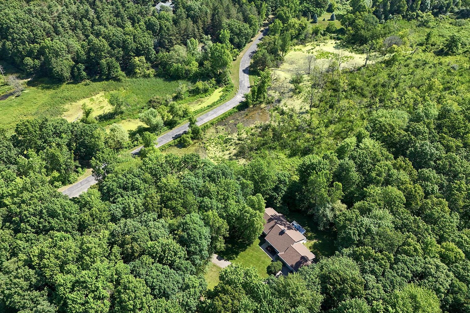 natureplace4.jpg