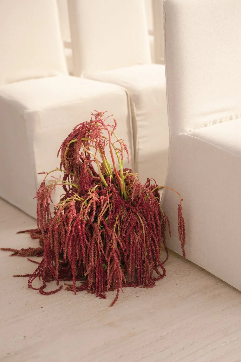 Editorial beach wedding inspiration in Mexico featuring modern ceremony design and soft coastal colors photographed by destination wedding photographer