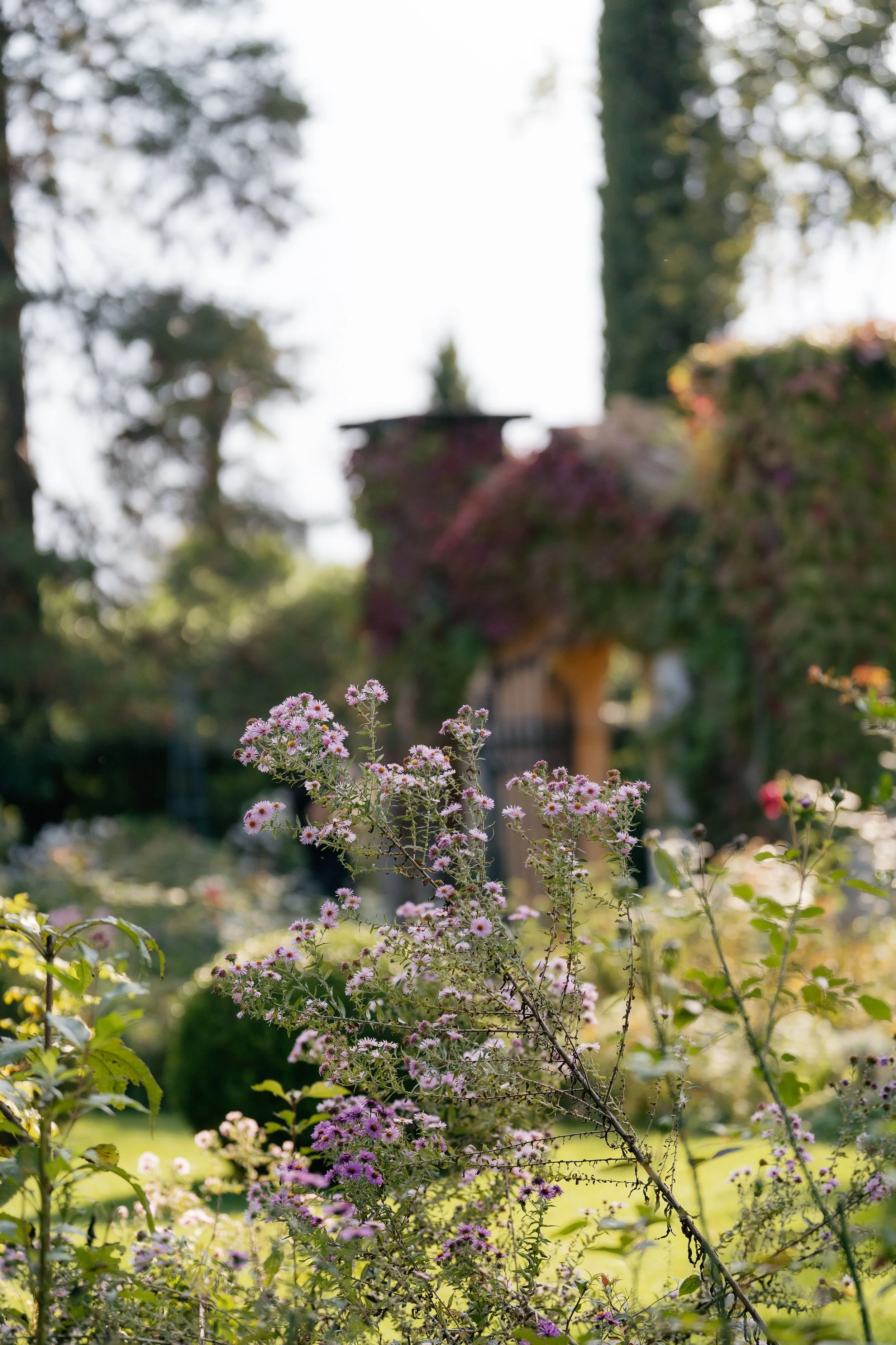 KAIT Lake Como Photographer-76.jpg