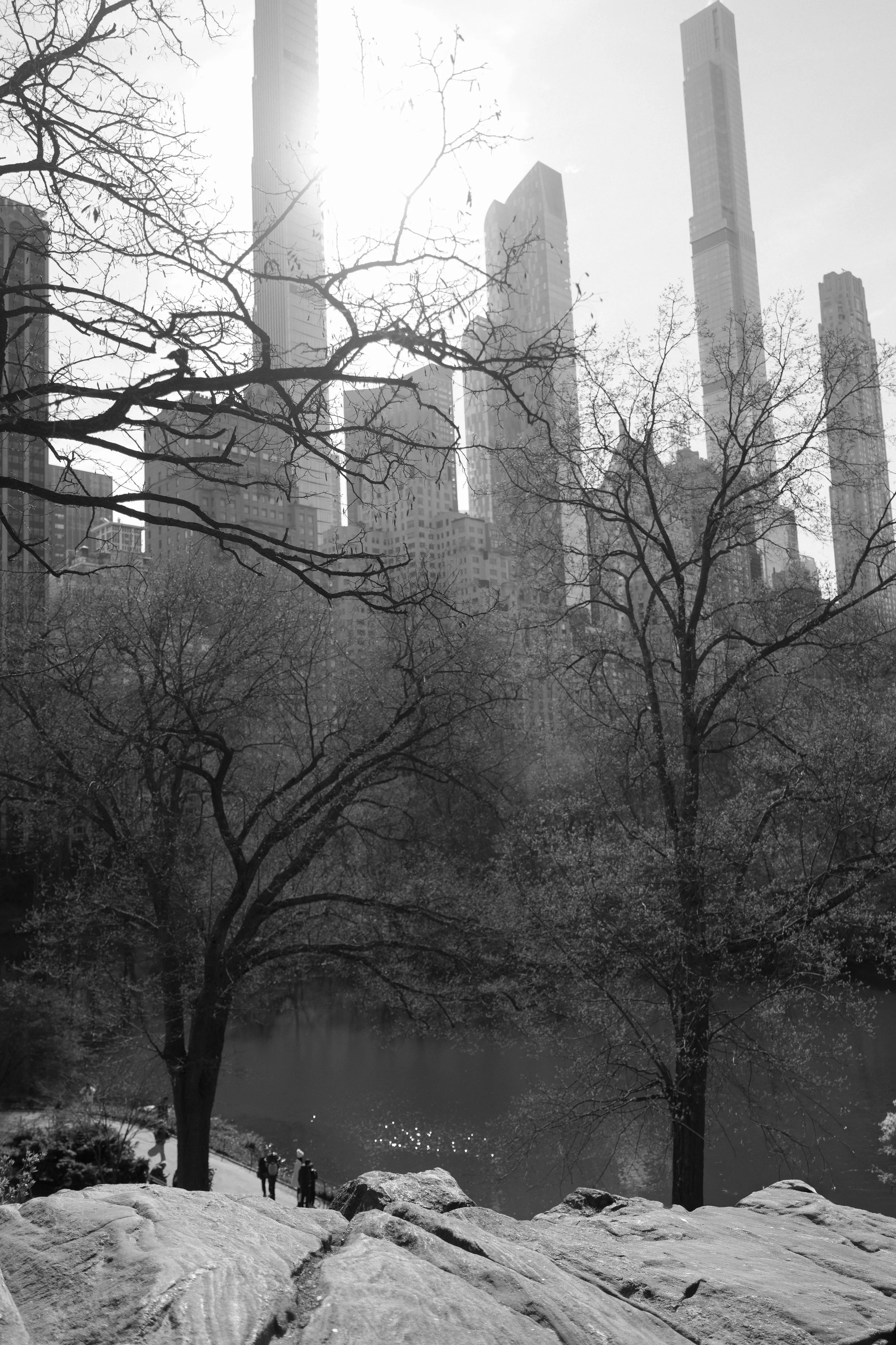 central park view