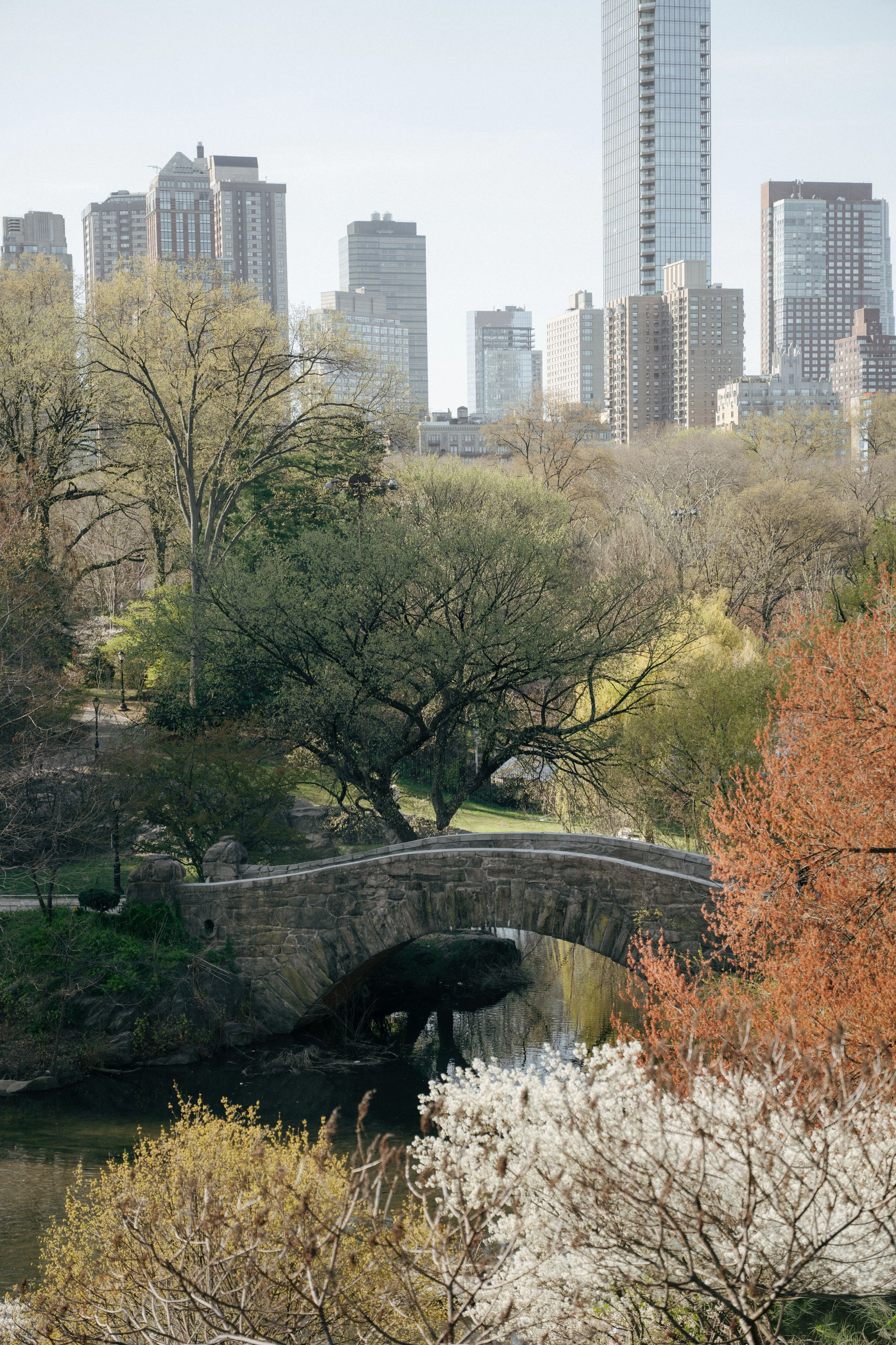 Central Park wedding 