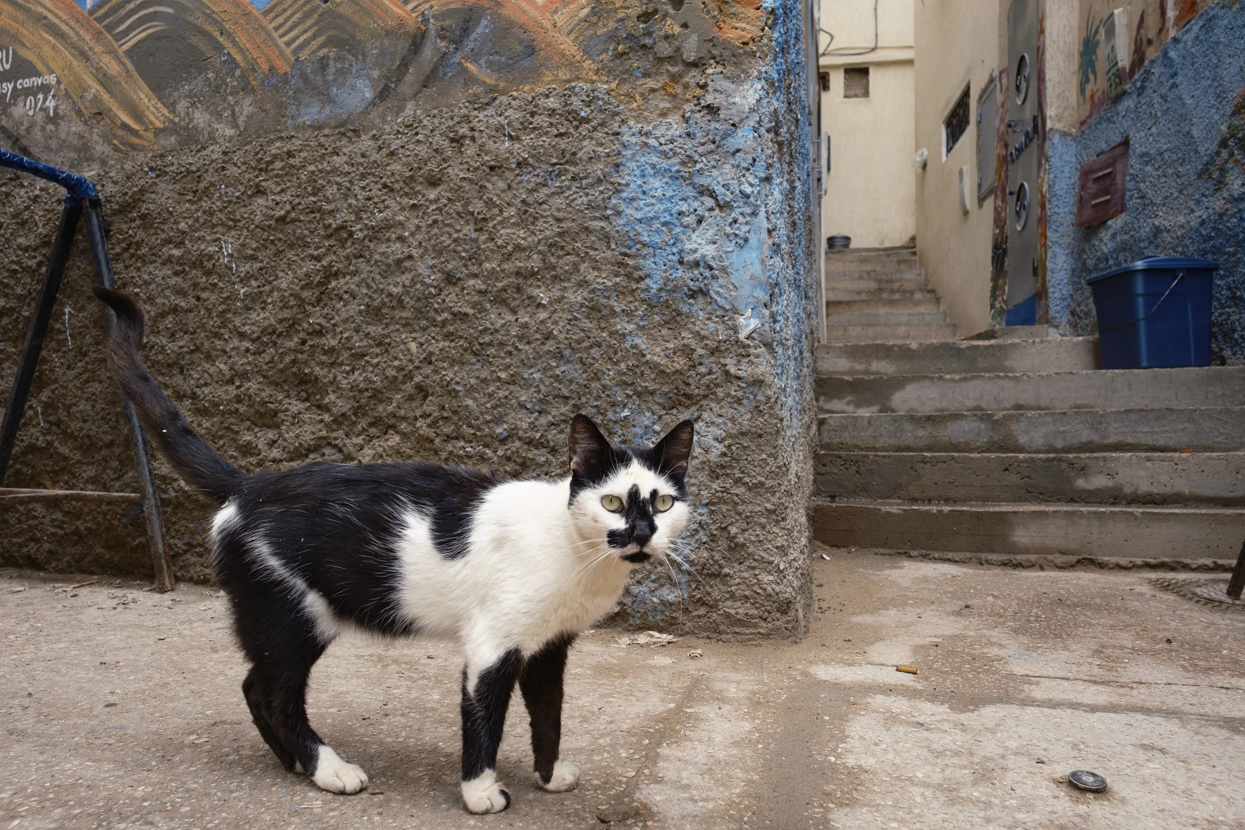 taghazout_6.jpg