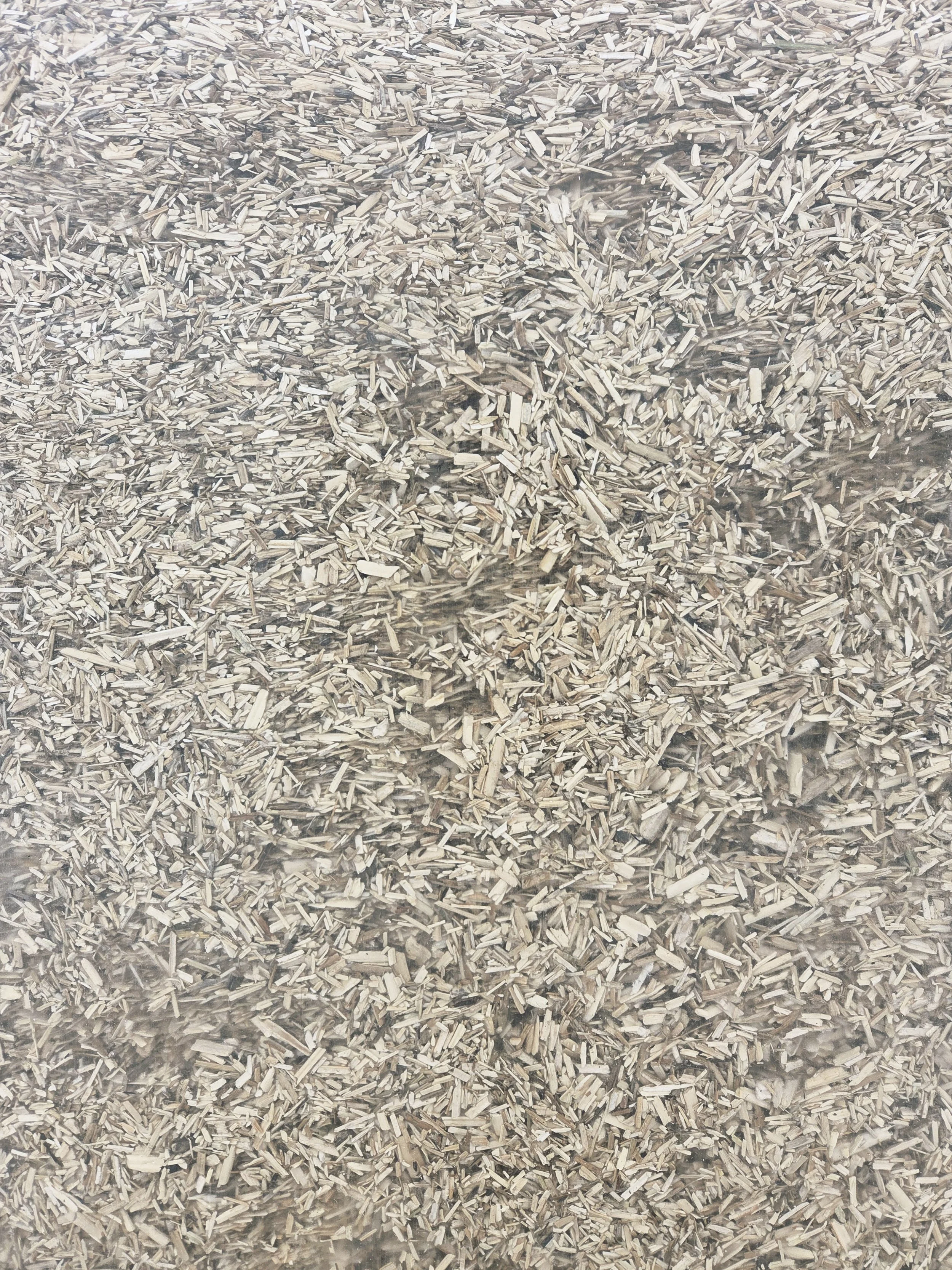 Premium Bulk Hemp Bedding PRE-ORDER