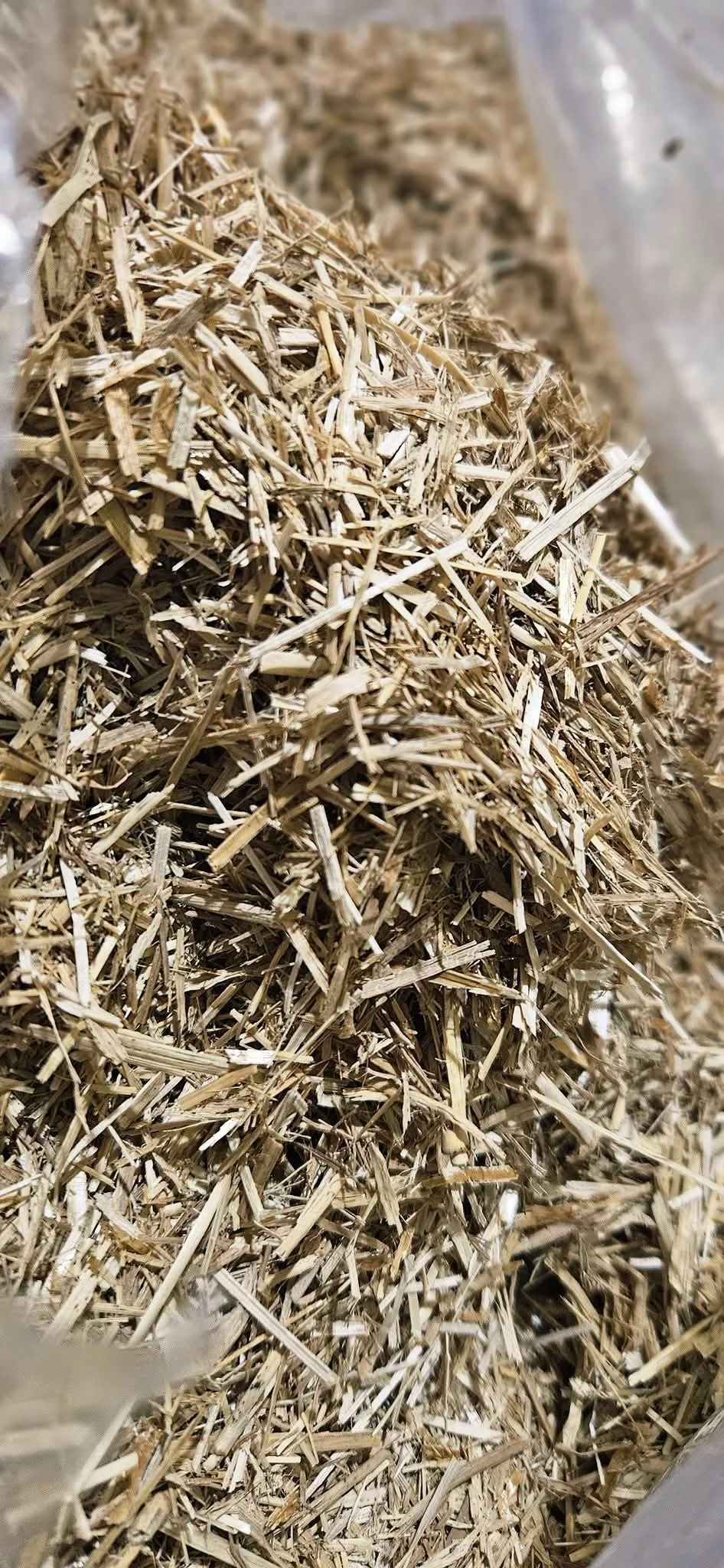 Switchgrass Bedding
