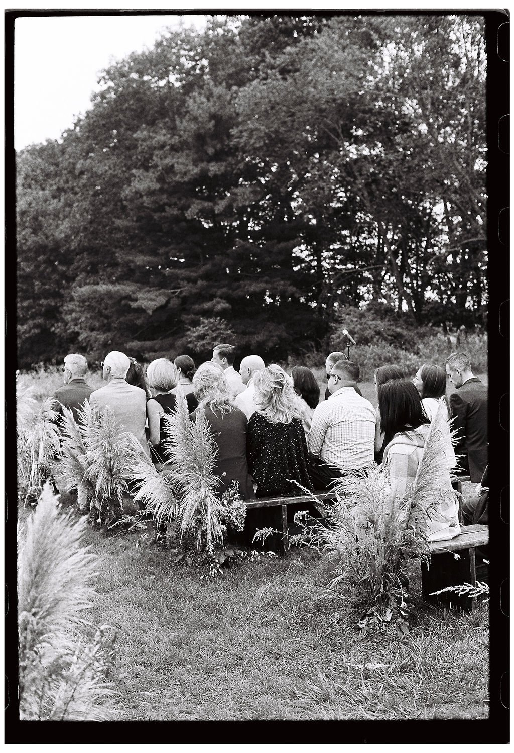 Guests Seated at Scotland Fields Maine Wedding