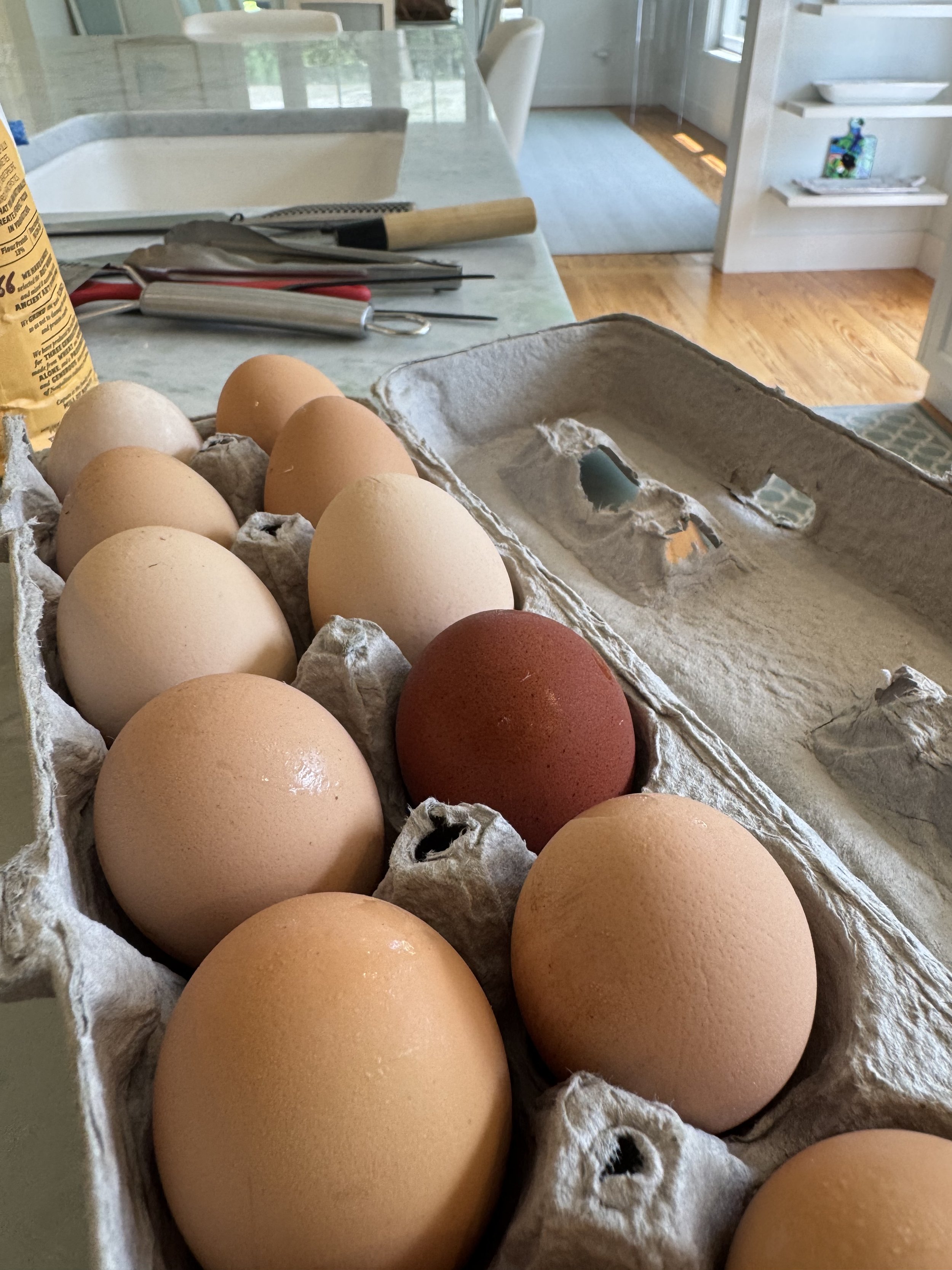 Pasture, Egg & Smoke
