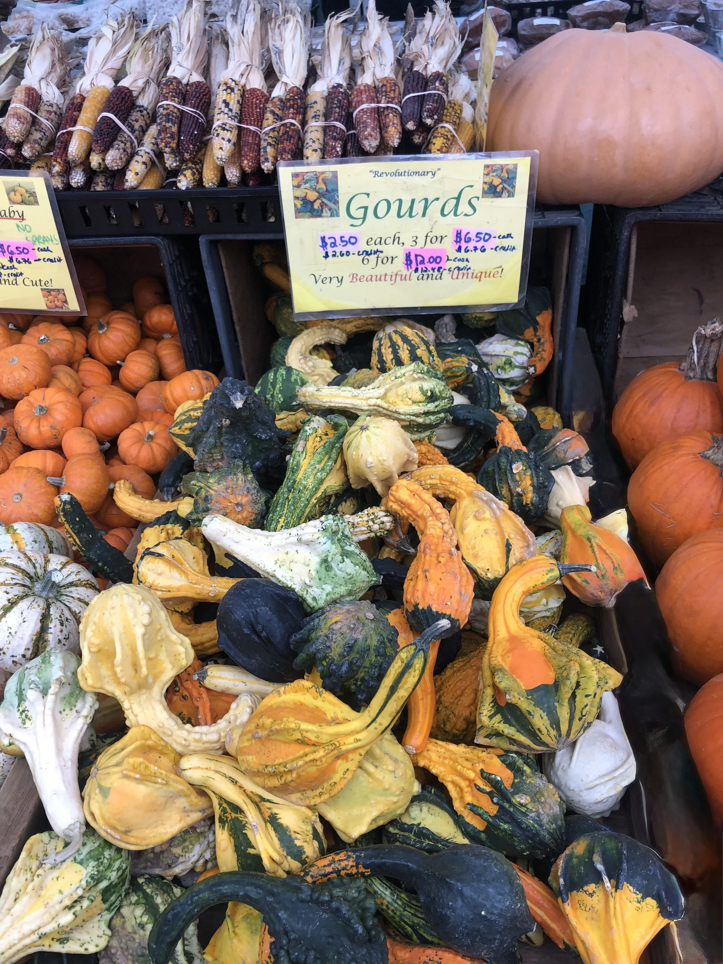 Thanksgiving Dinner Boxes